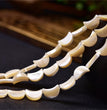 Natural Shell Moon Beads Strands Loose Beads Jewelry DIY Bracelets