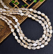 Natural White Shell Leaf Beads Strands Loose Beads Jewelry DIY Bracelets