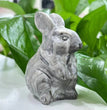 6CM Rabbit Bunny Natural Crystal Carving