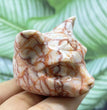 5CM Cat Head Carving Natural Crystal