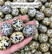 Dalmatian Jasper Tumbles Natural Crystal Confetti Healing Energy