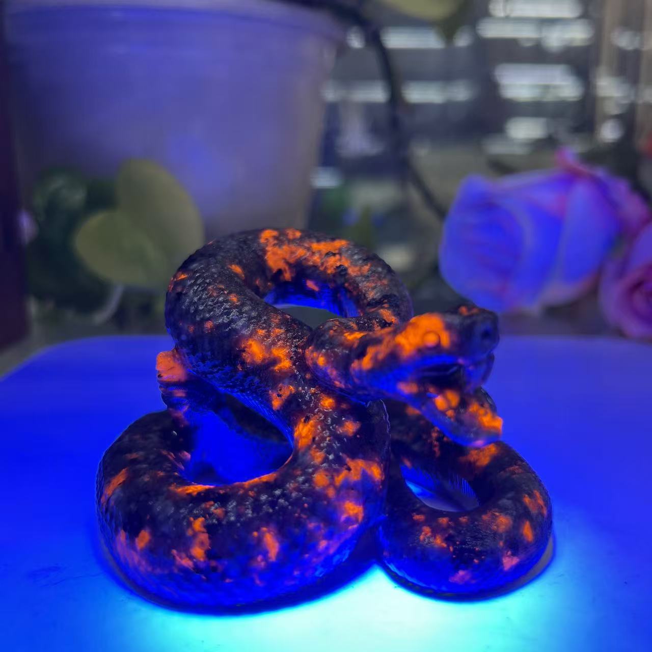 Coiling Snake Carving Table Decor Gift Wholesale