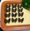 Natural Icy Obsidian Bow Jewelry Charms Beads Pendants