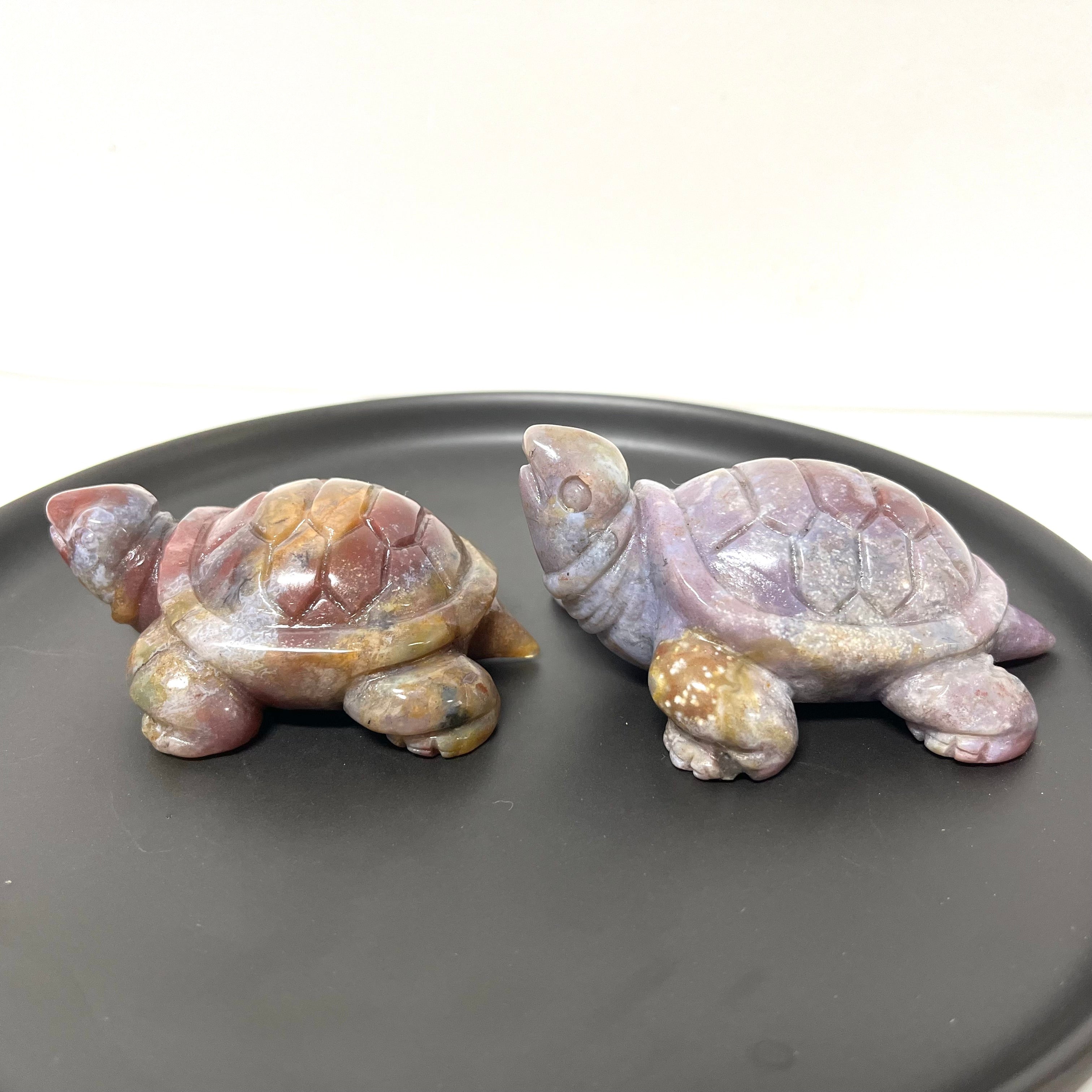 5PCS Ocean Jasper Turtle Carvings