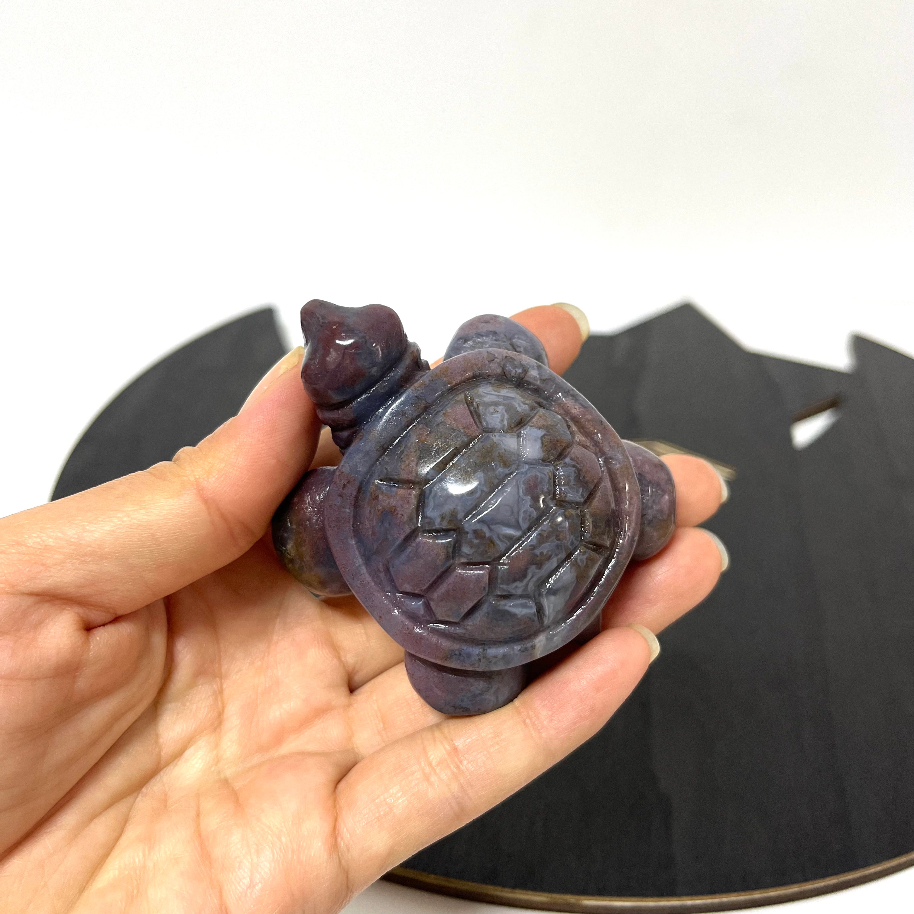 5PCS Ocean Jasper Turtle Carvings