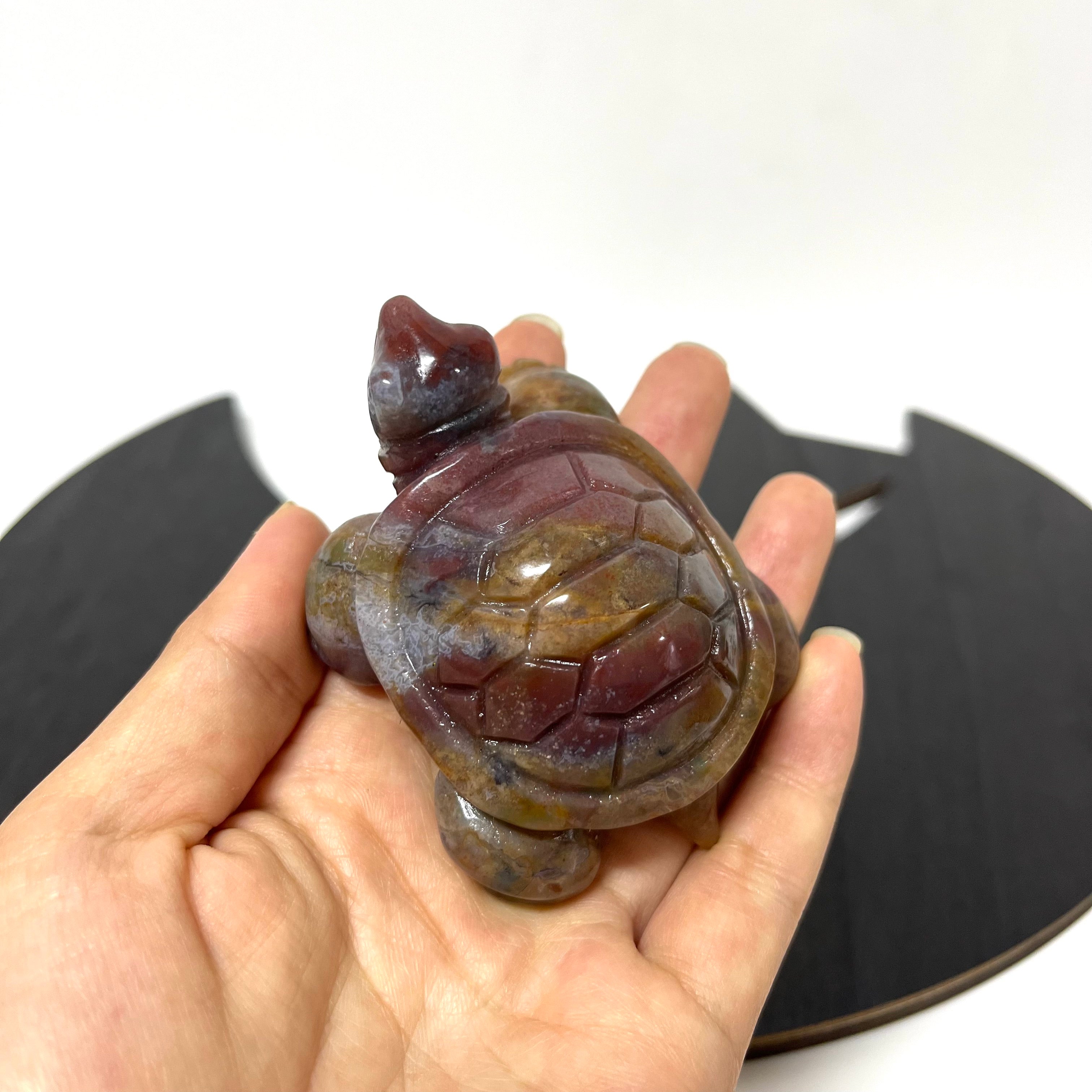 5PCS Ocean Jasper Turtle Carvings