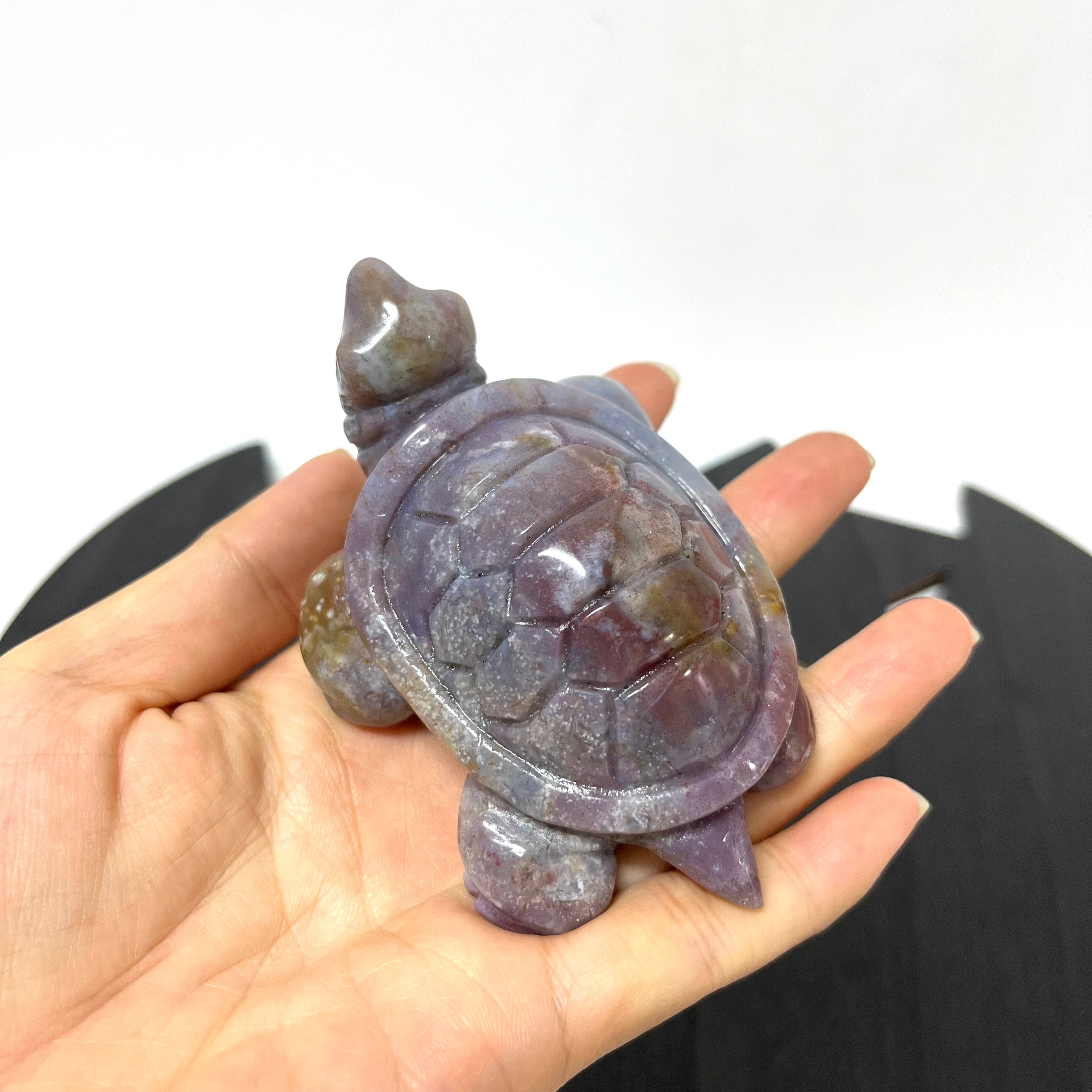 5PCS Ocean Jasper Turtle Carvings