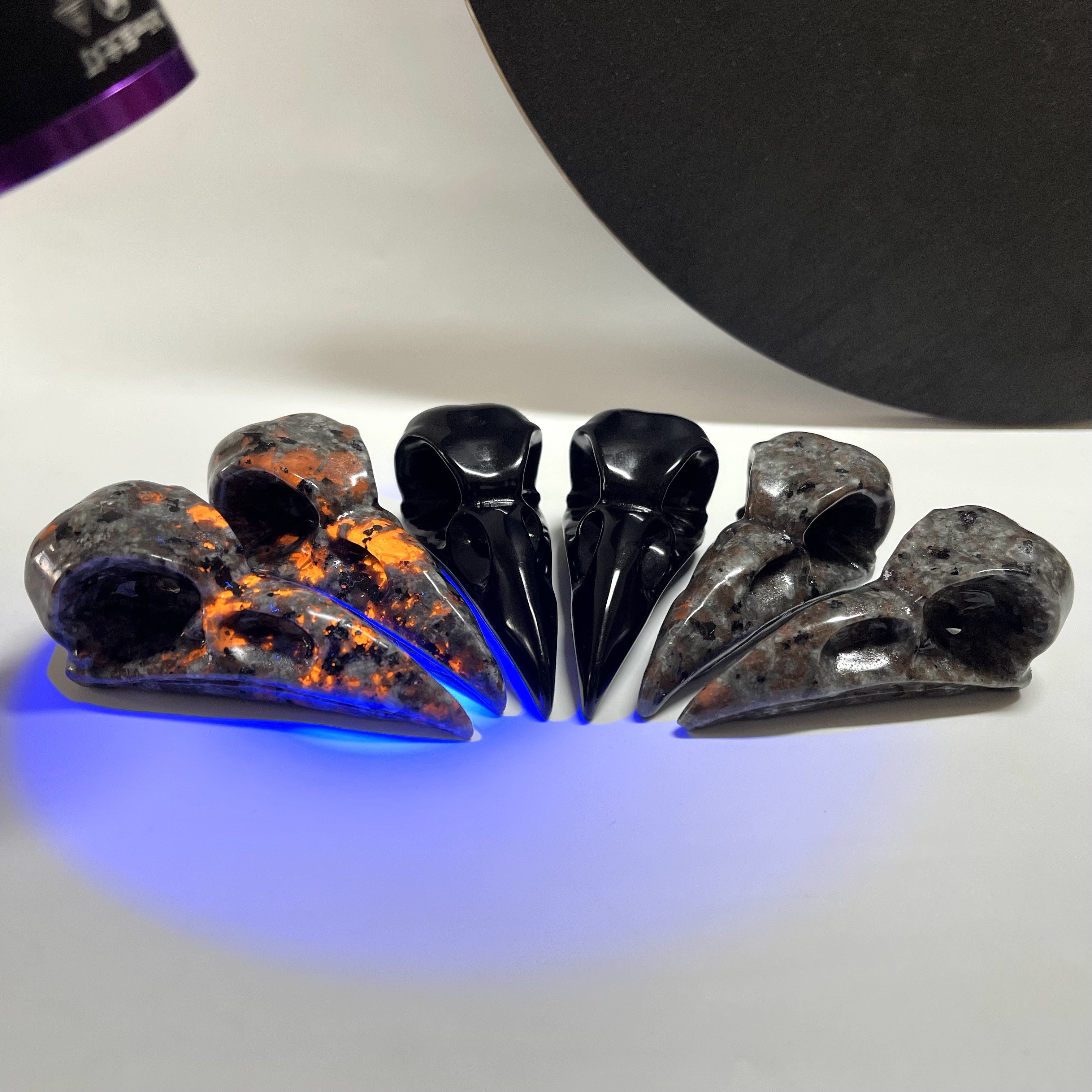 8CM Raven Skull Beak Carving