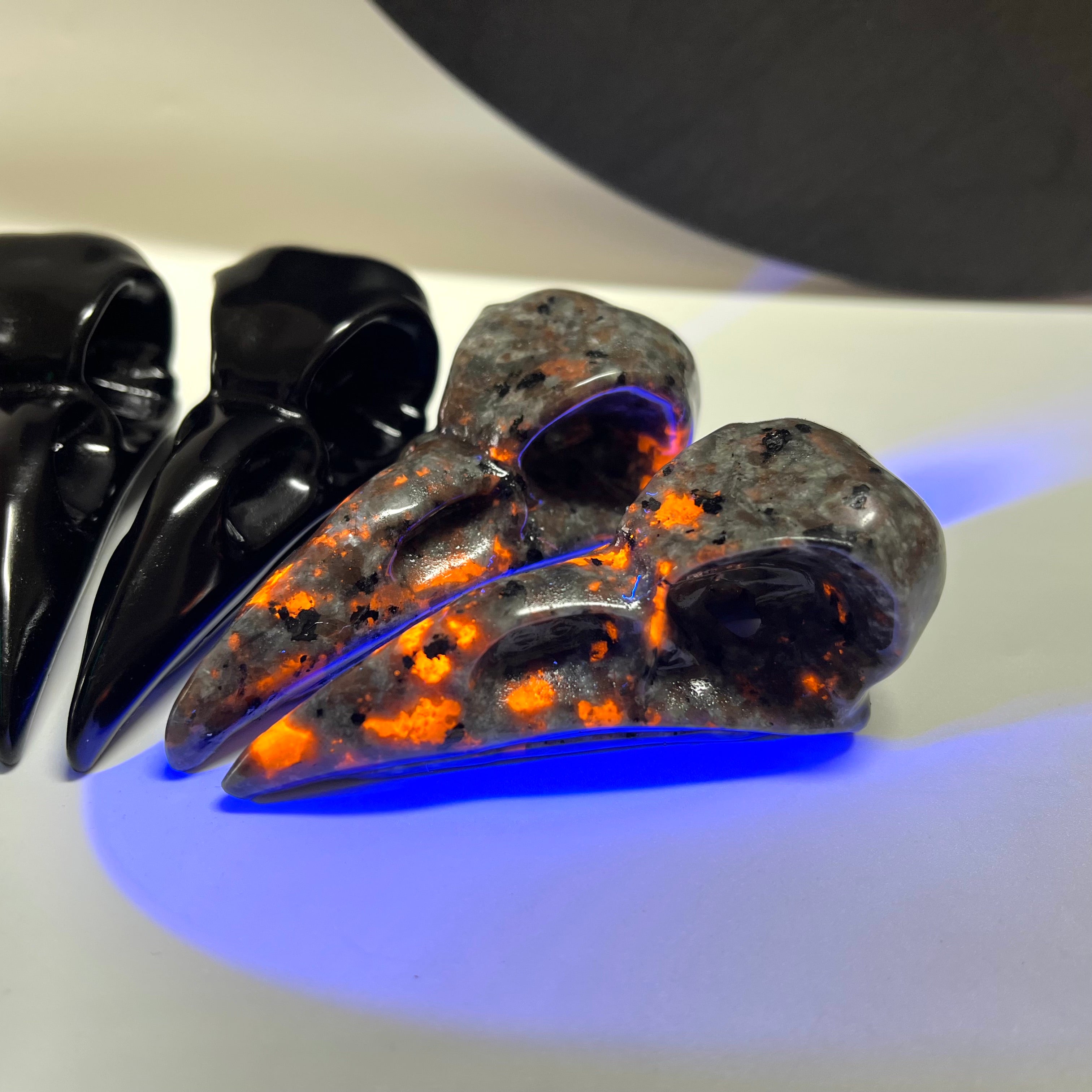 8CM Raven Skull Beak Carving