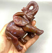 12CM Ocean Jasper Handcarved Elephant Carving Natural Crystal Home Decoration Gift