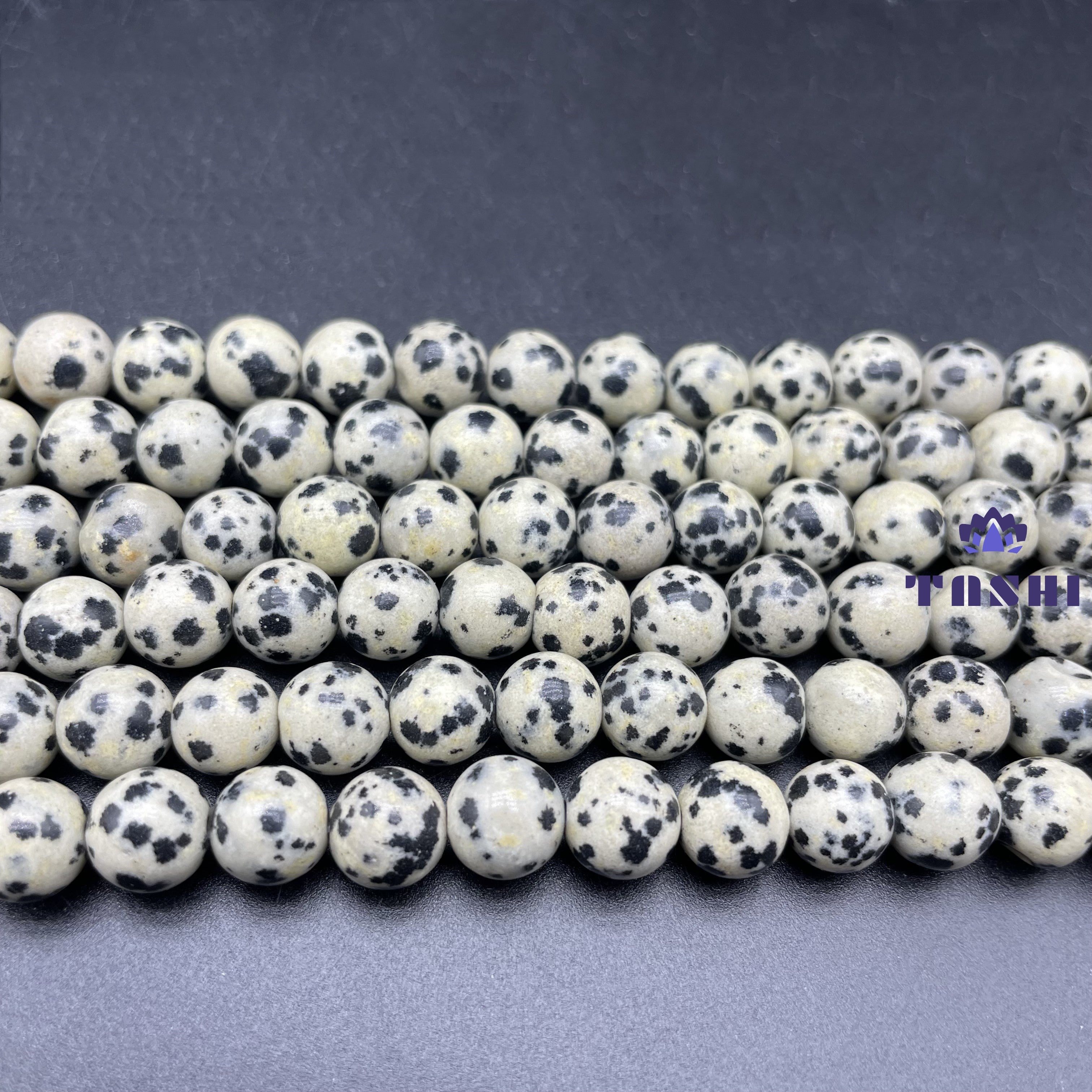 Dalmatian Jasper Beads Strands Loose Beads Jewelry DIY Bracelets
