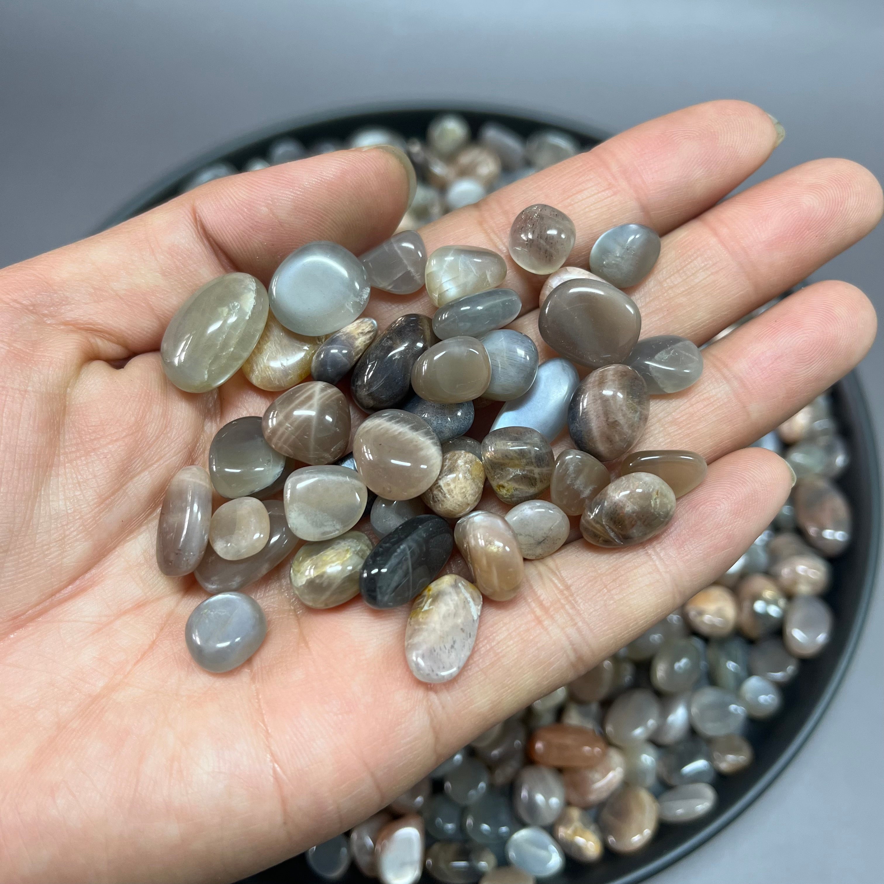 Natural Grey Moonstone Pebbles Chips Wholesale