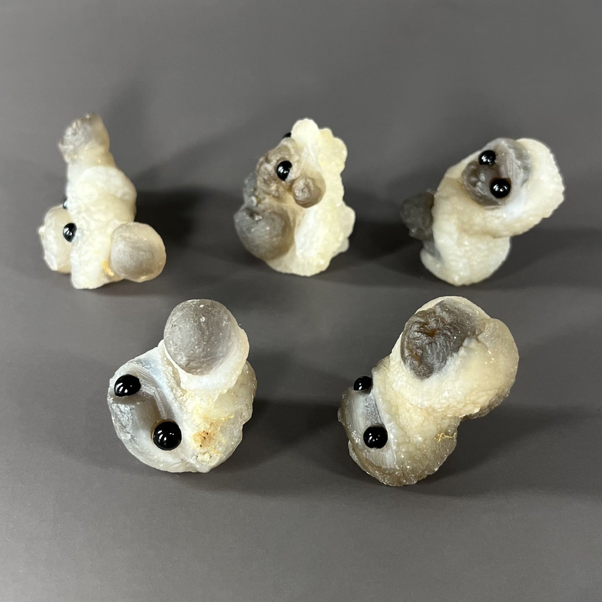 5PCS Raw Panda Agate Pet Rocks Group