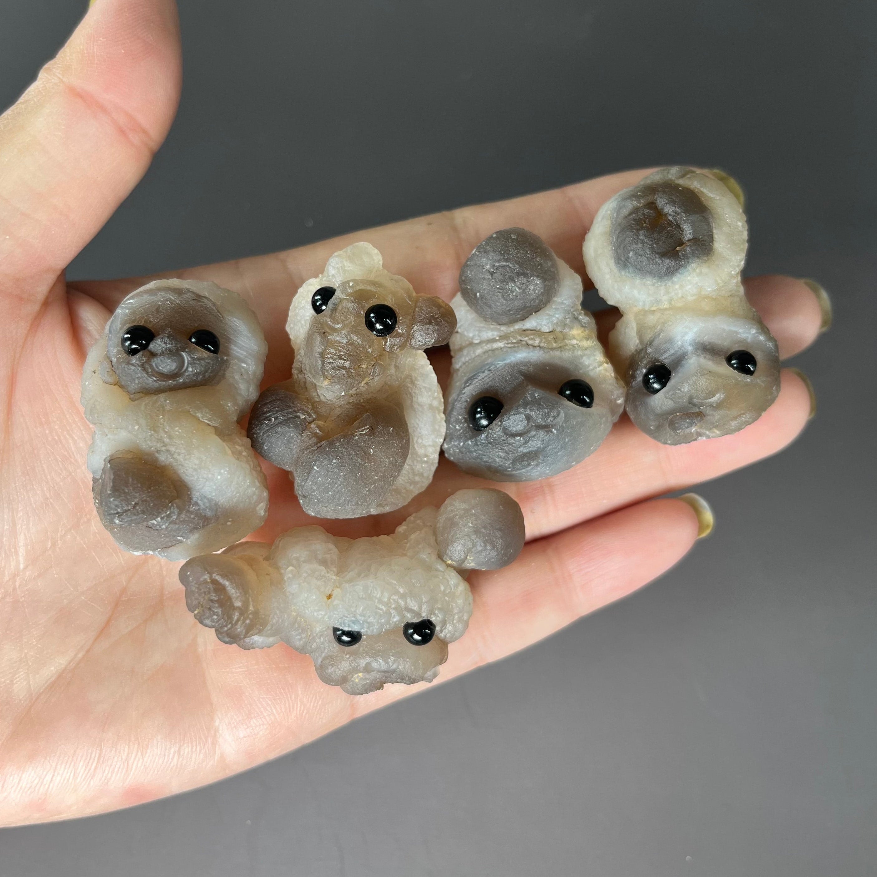 5PCS Raw Panda Agate Pet Rocks Group