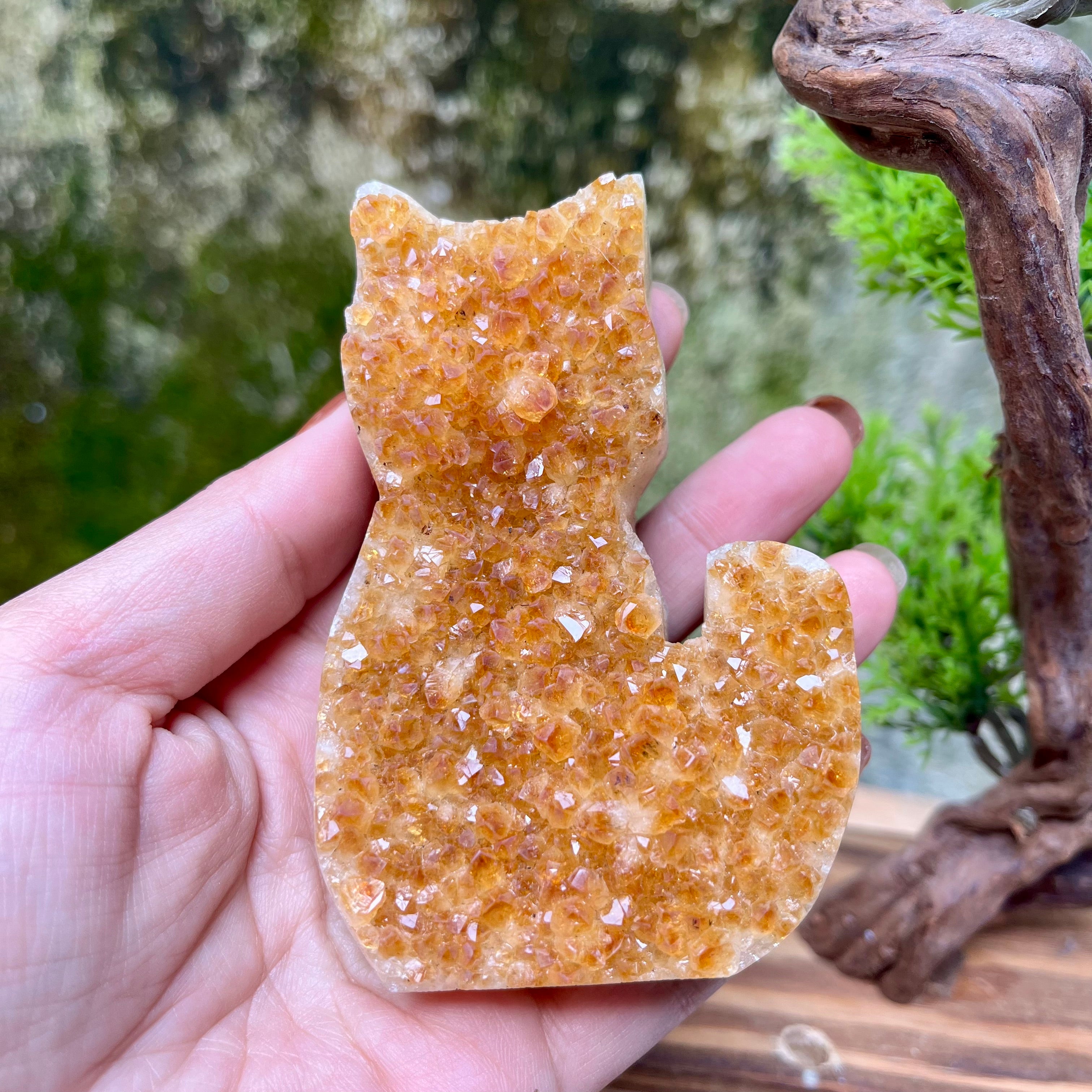Citrine Cluster Raw Cut Cat Carving Decor