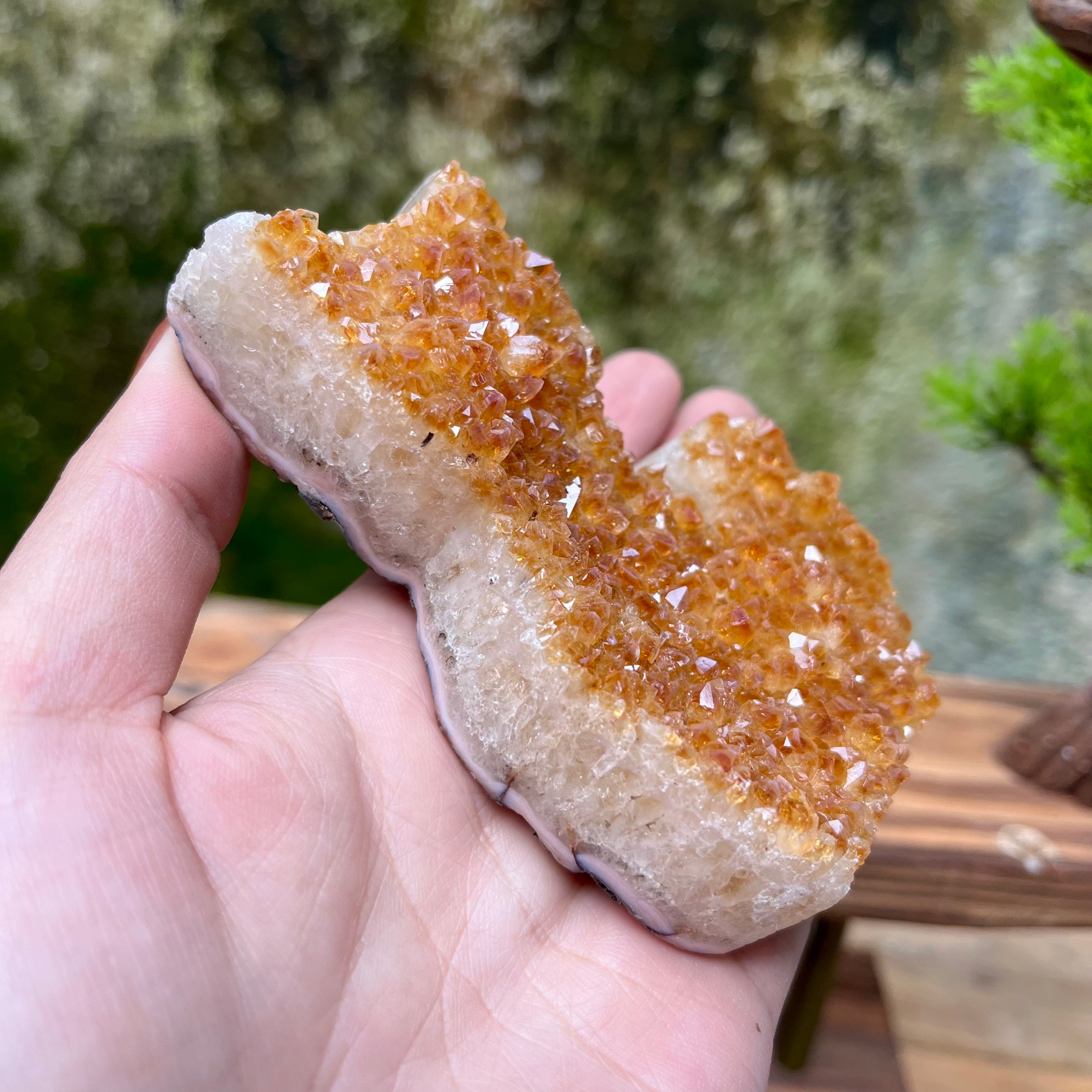 Citrine Cluster Raw Cut Cat Carving Decor