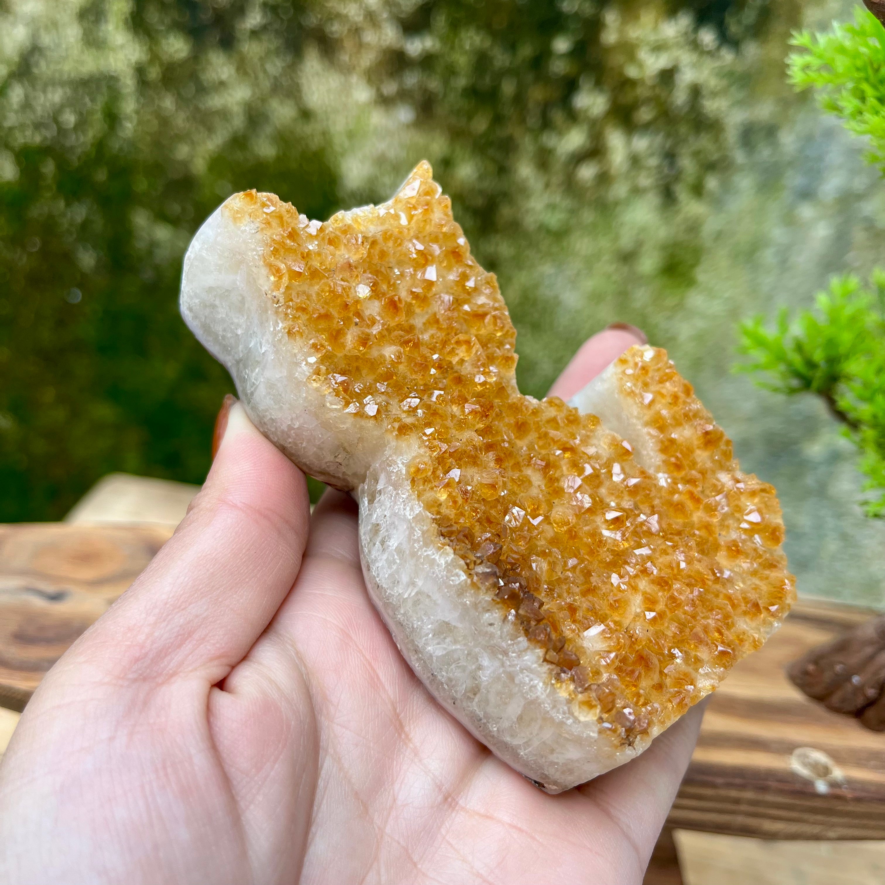 Citrine Cluster Raw Cut Cat Carving Decor