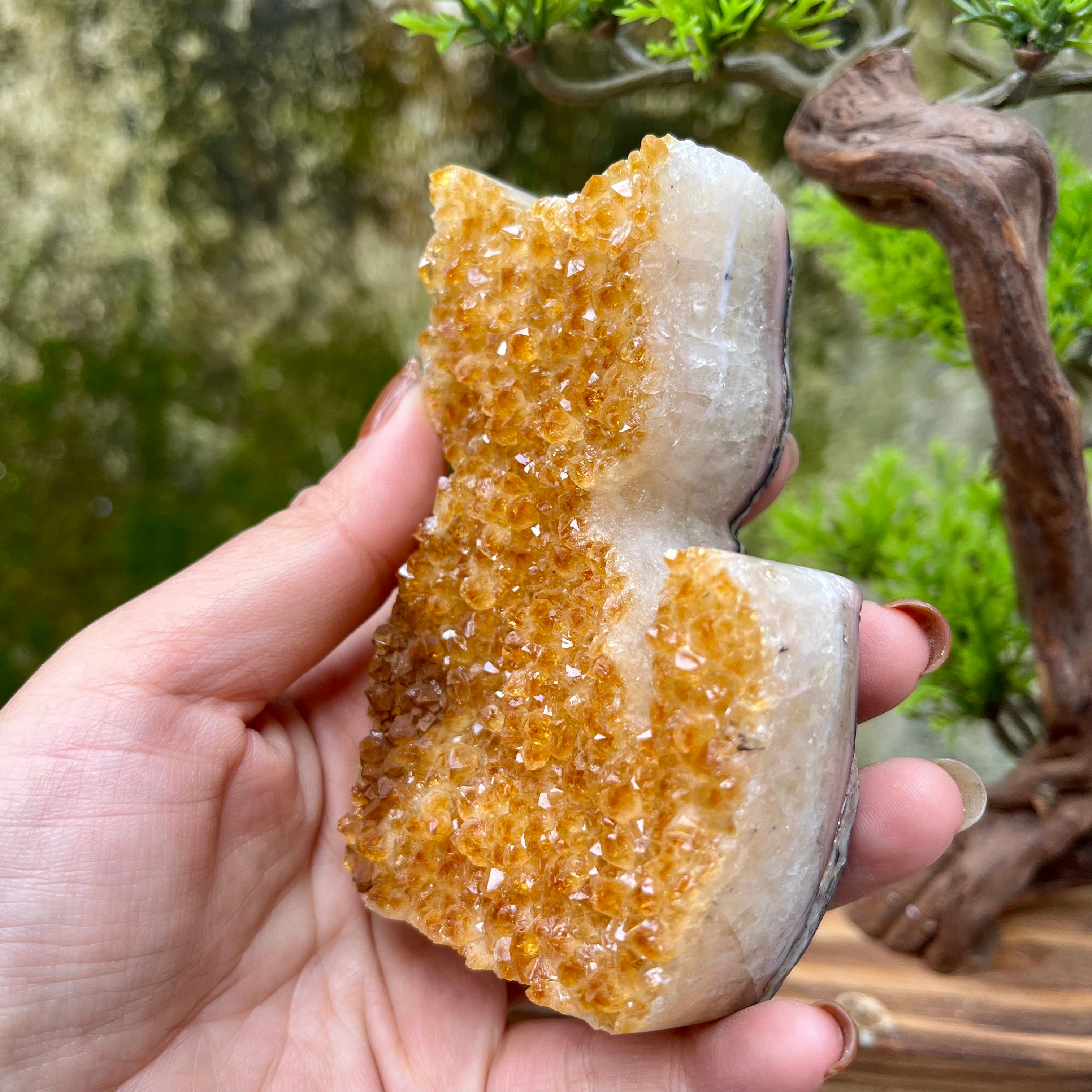 Citrine Cluster Raw Cut Cat Carving Decor
