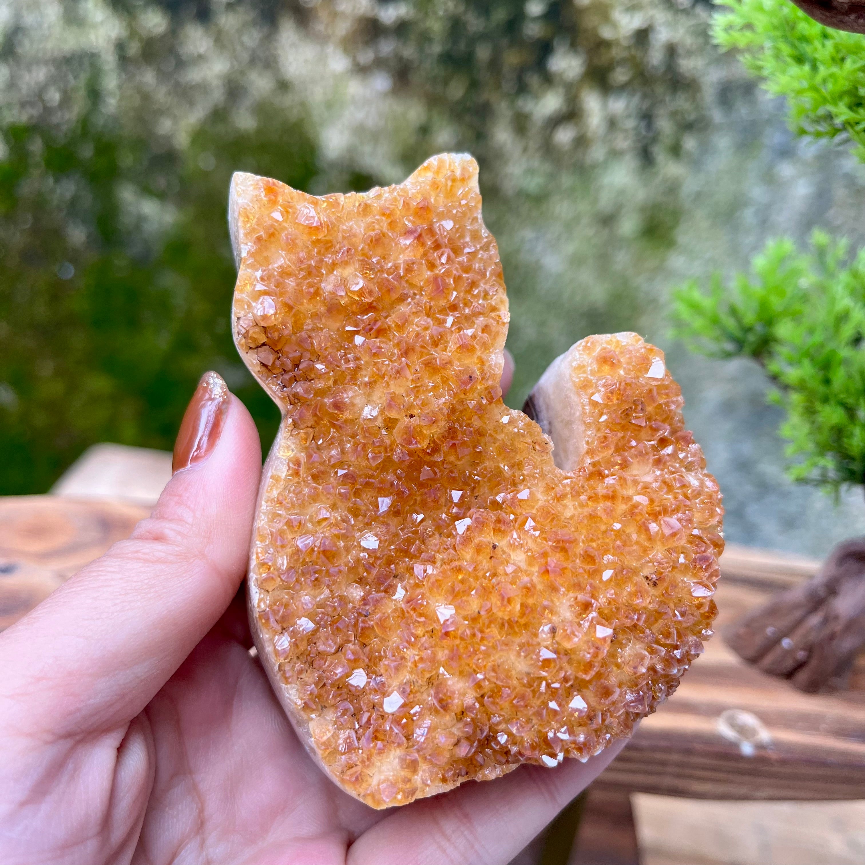 Citrine Cluster Raw Cut Cat Carving Decor
