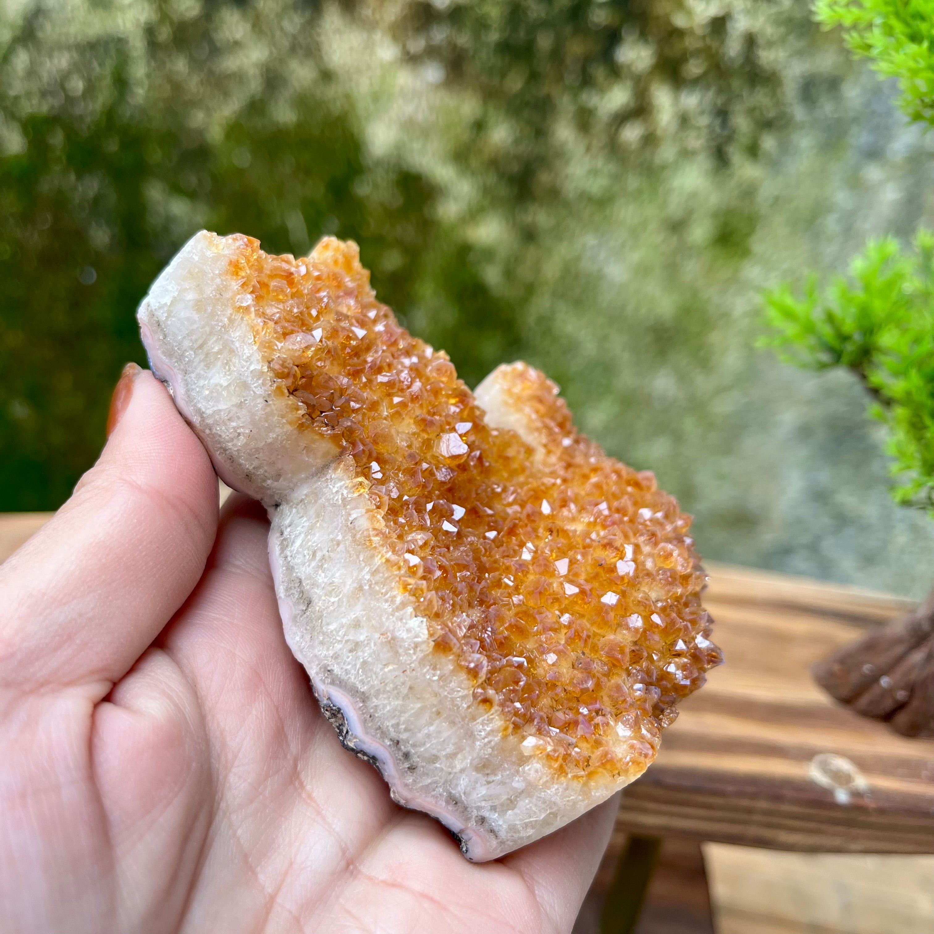 Citrine Cluster Raw Cut Cat Carving Decor