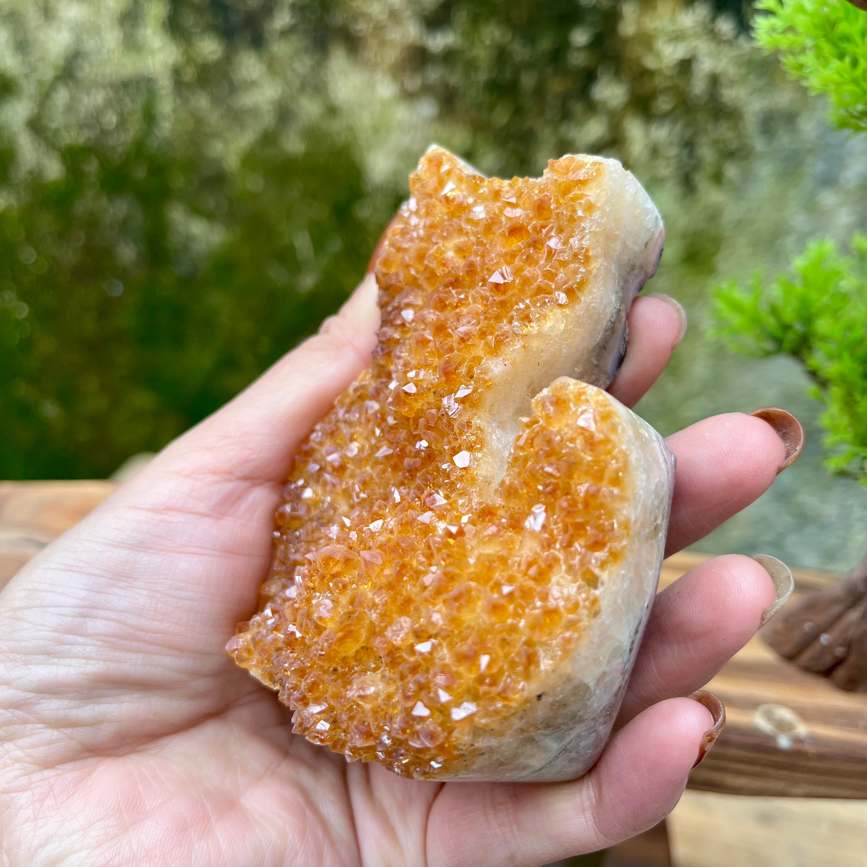 Citrine Cluster Raw Cut Cat Carving Decor