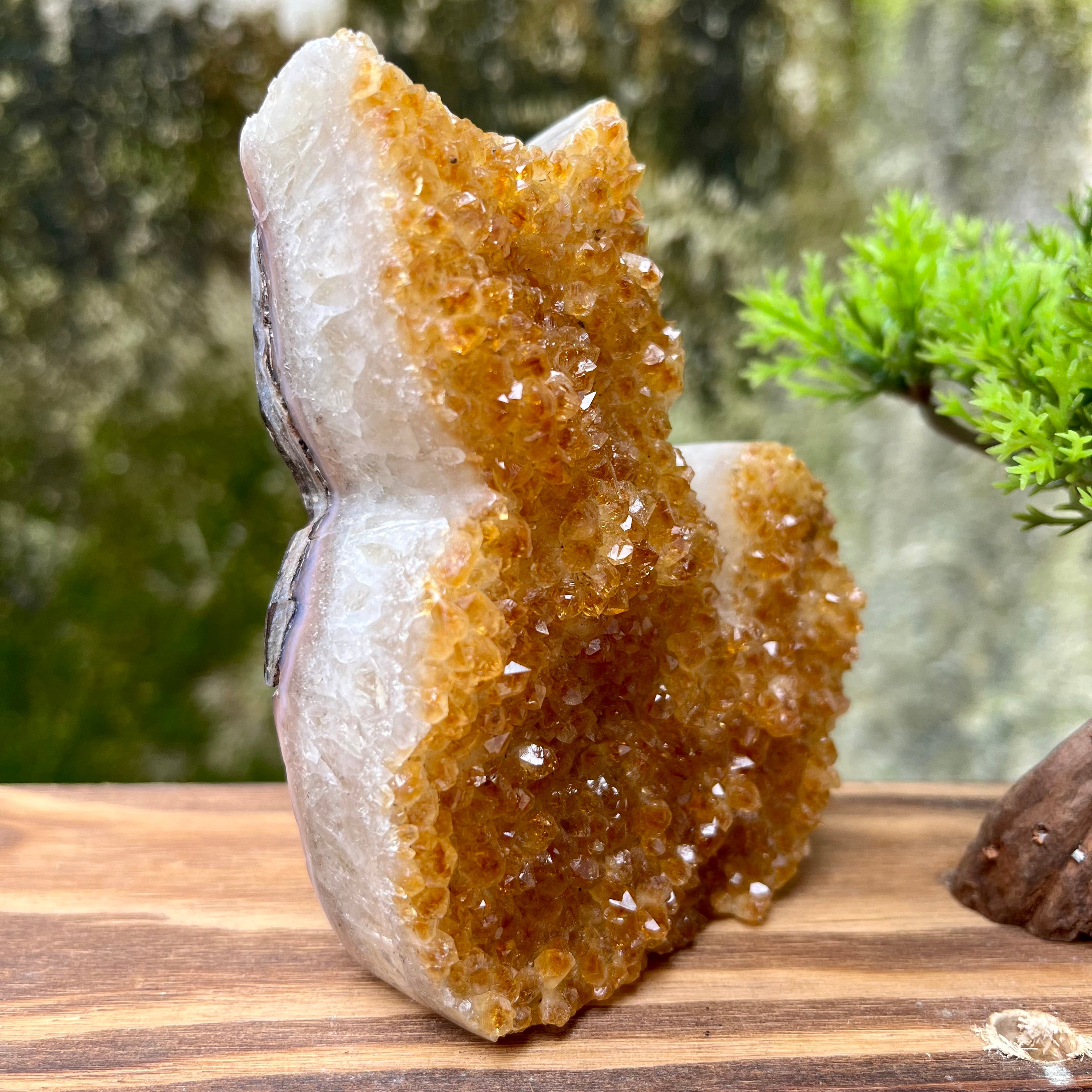 Citrine Cluster Raw Cut Cat Carving Decor