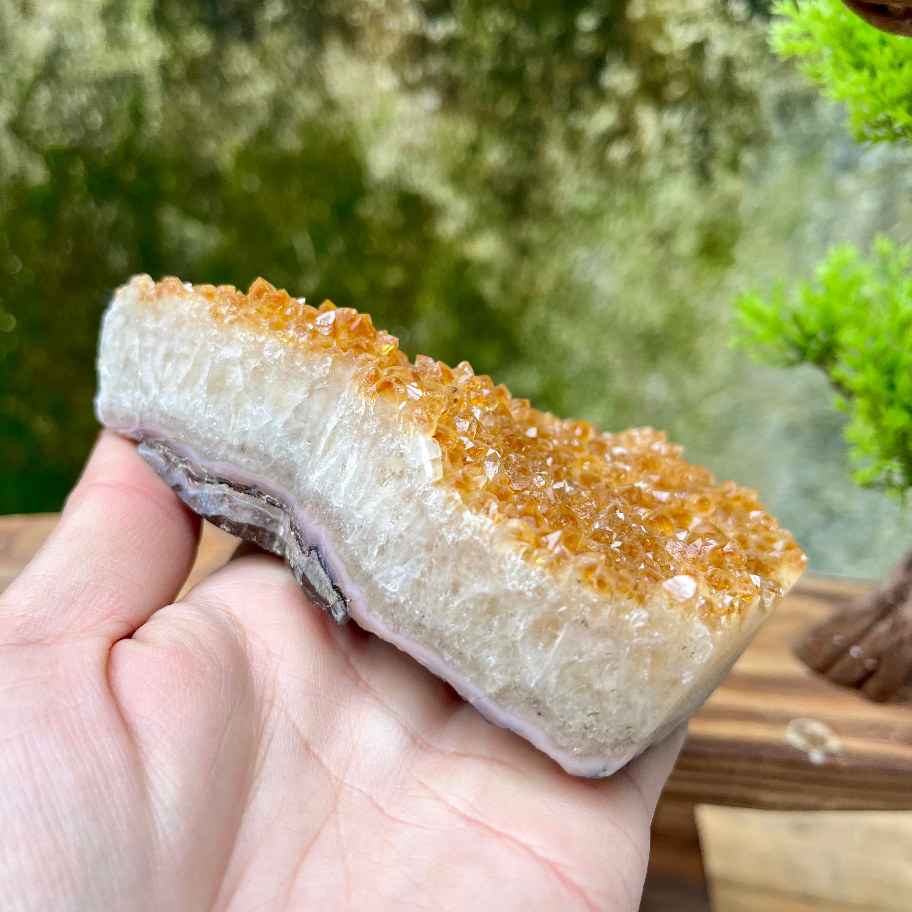 Citrine Cluster Raw Cut Cat Carving Decor