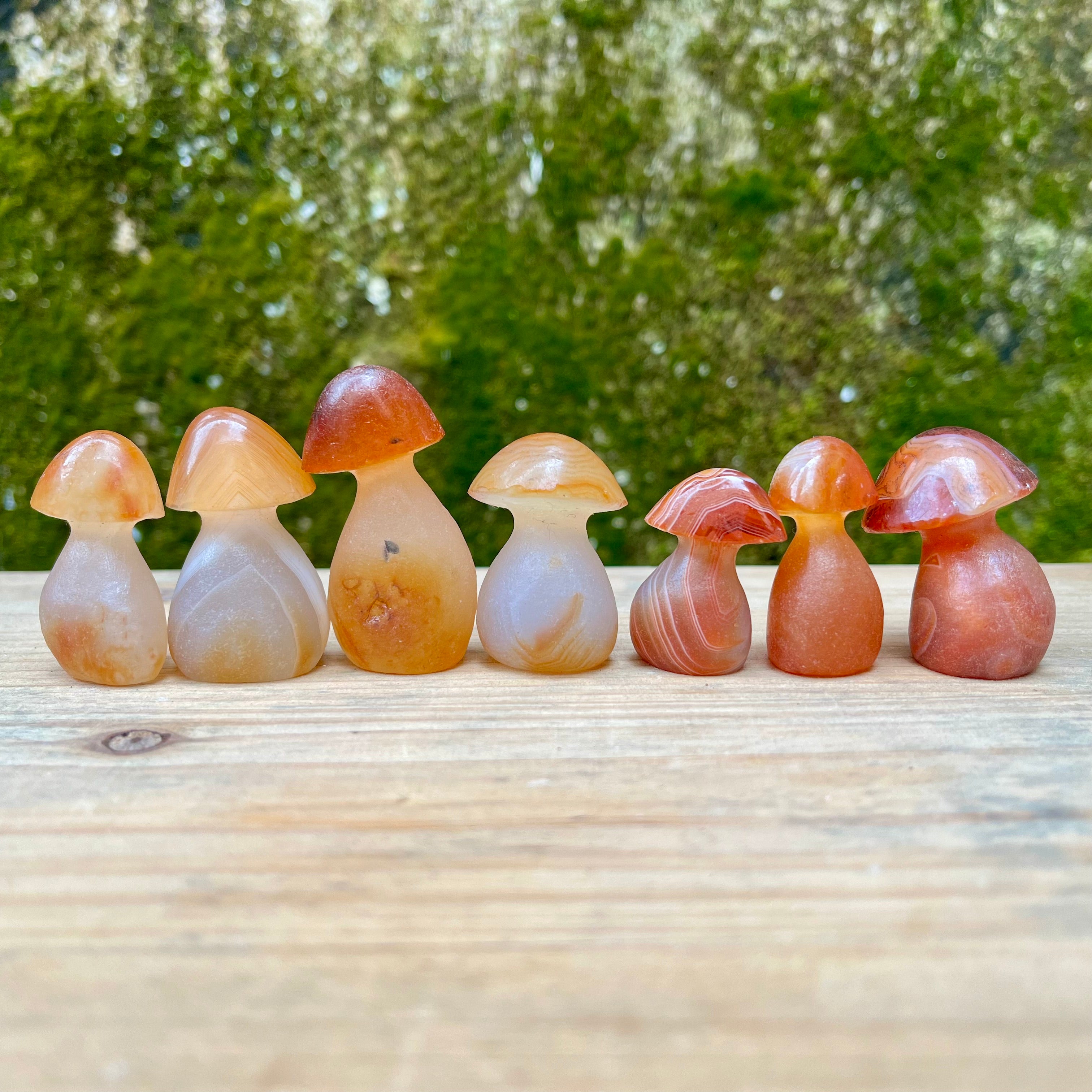 7PCS Natural Carnelian Raw Cut Mushroom Carvings
