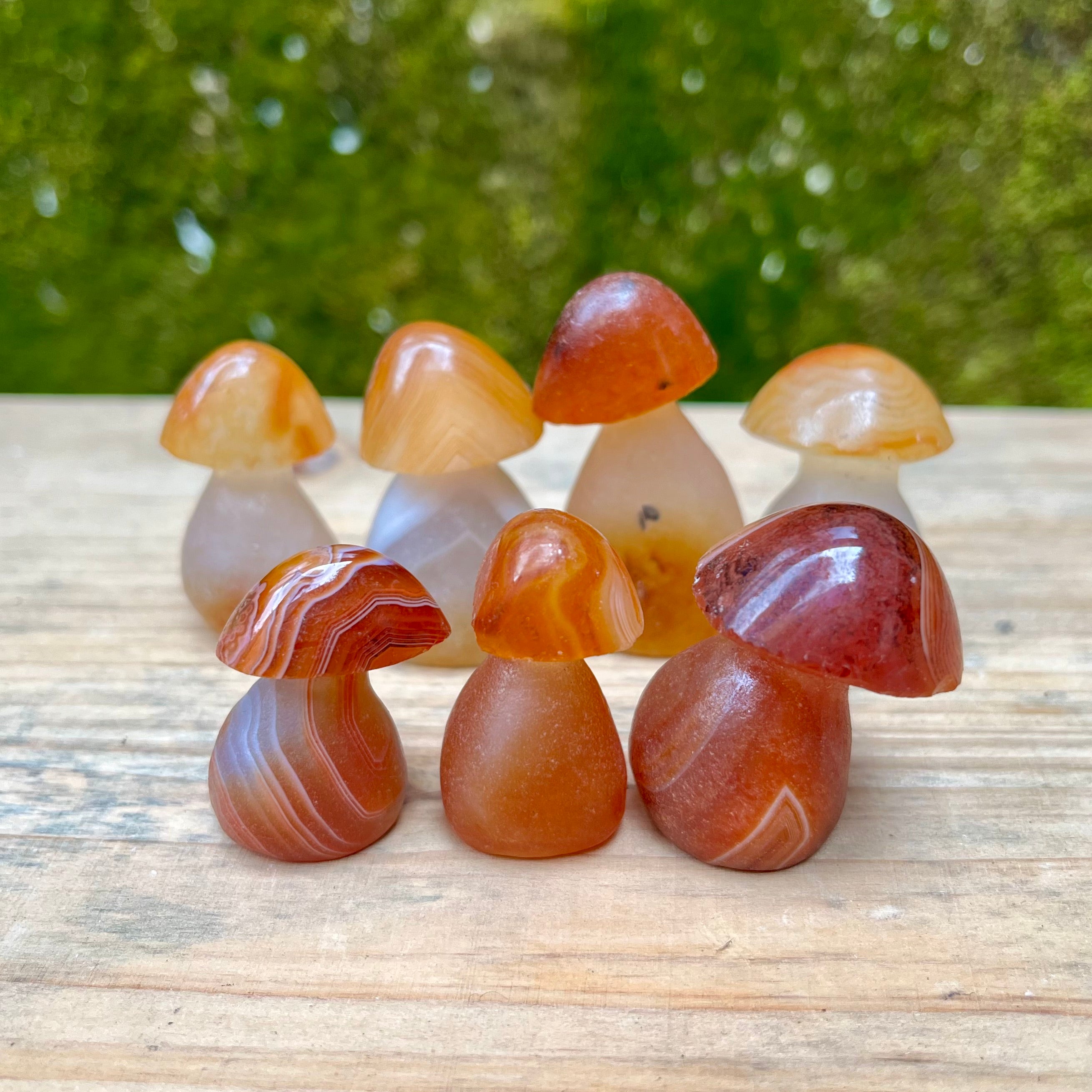7PCS Natural Carnelian Raw Cut Mushroom Carvings