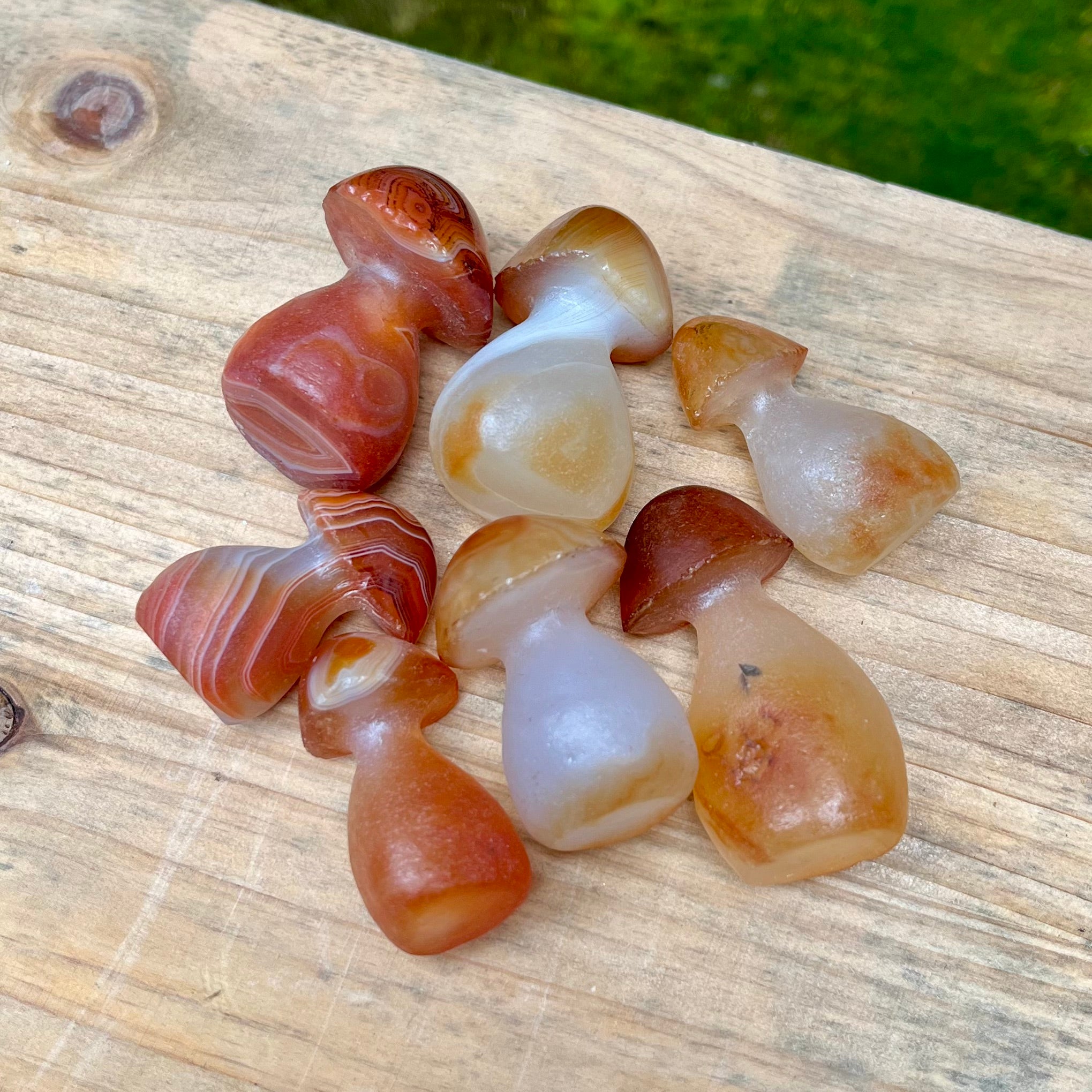 7PCS Natural Carnelian Raw Cut Mushroom Carvings