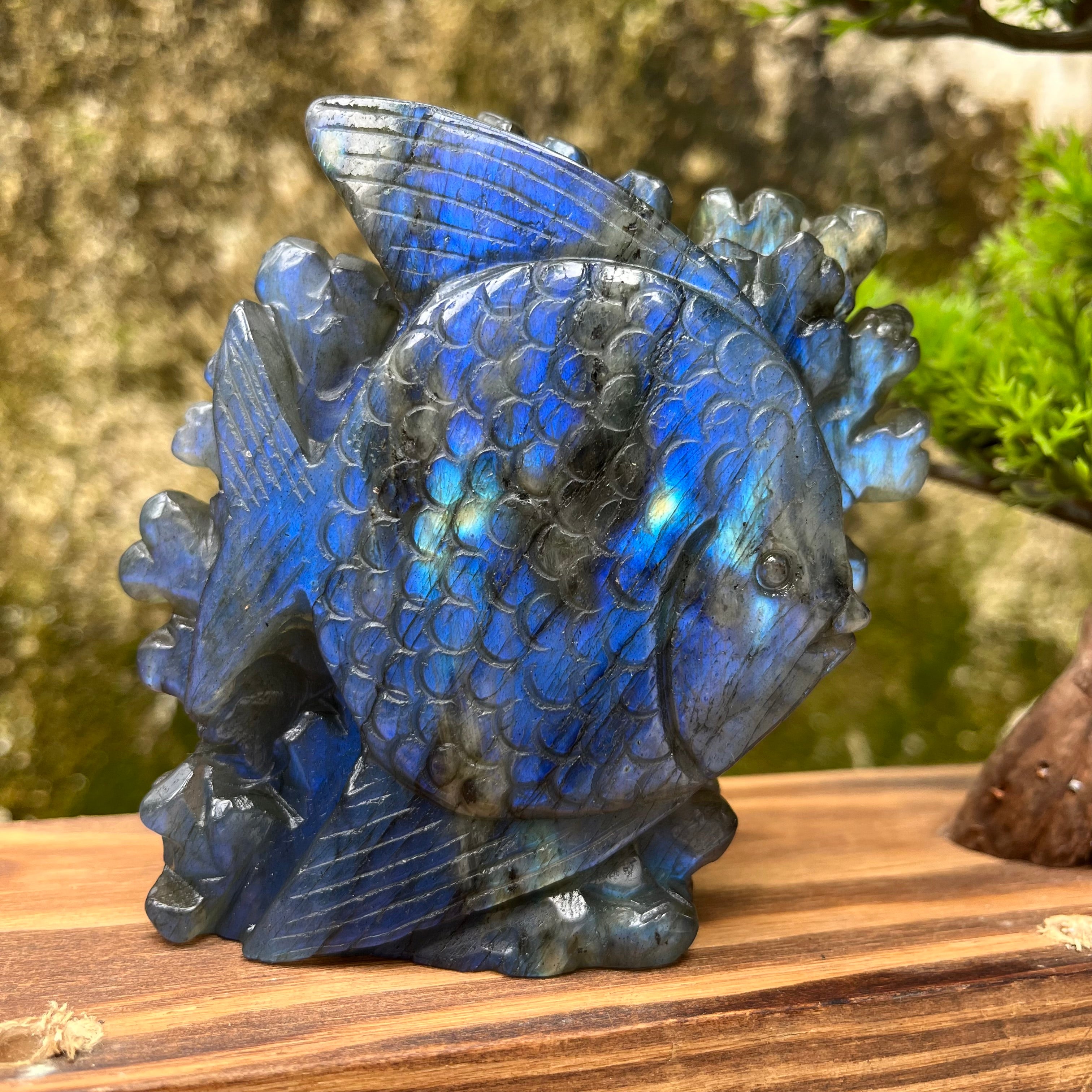 Natural Labradorite Strong Flash Coral Fish