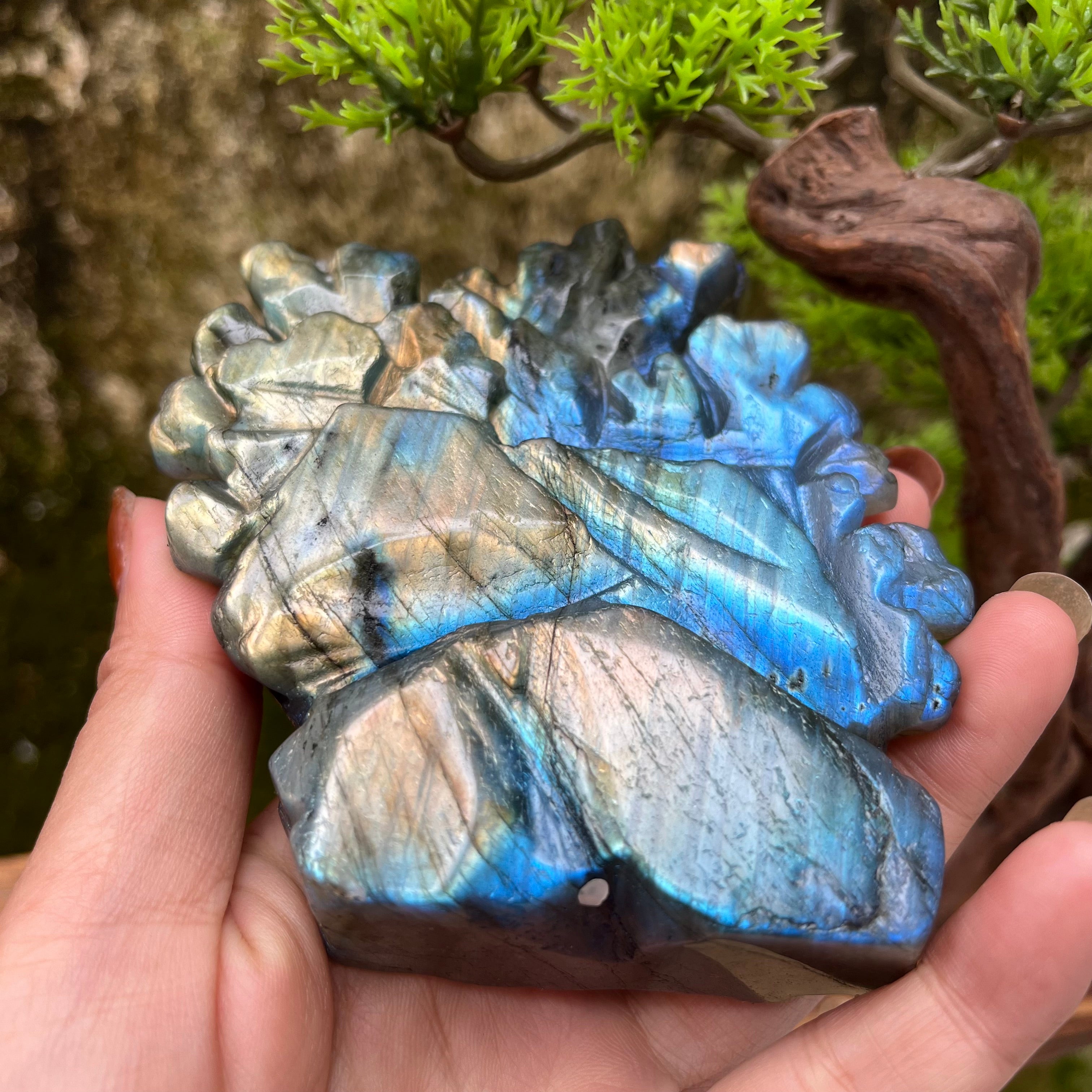 Natural Labradorite Strong Flash Coral Fish