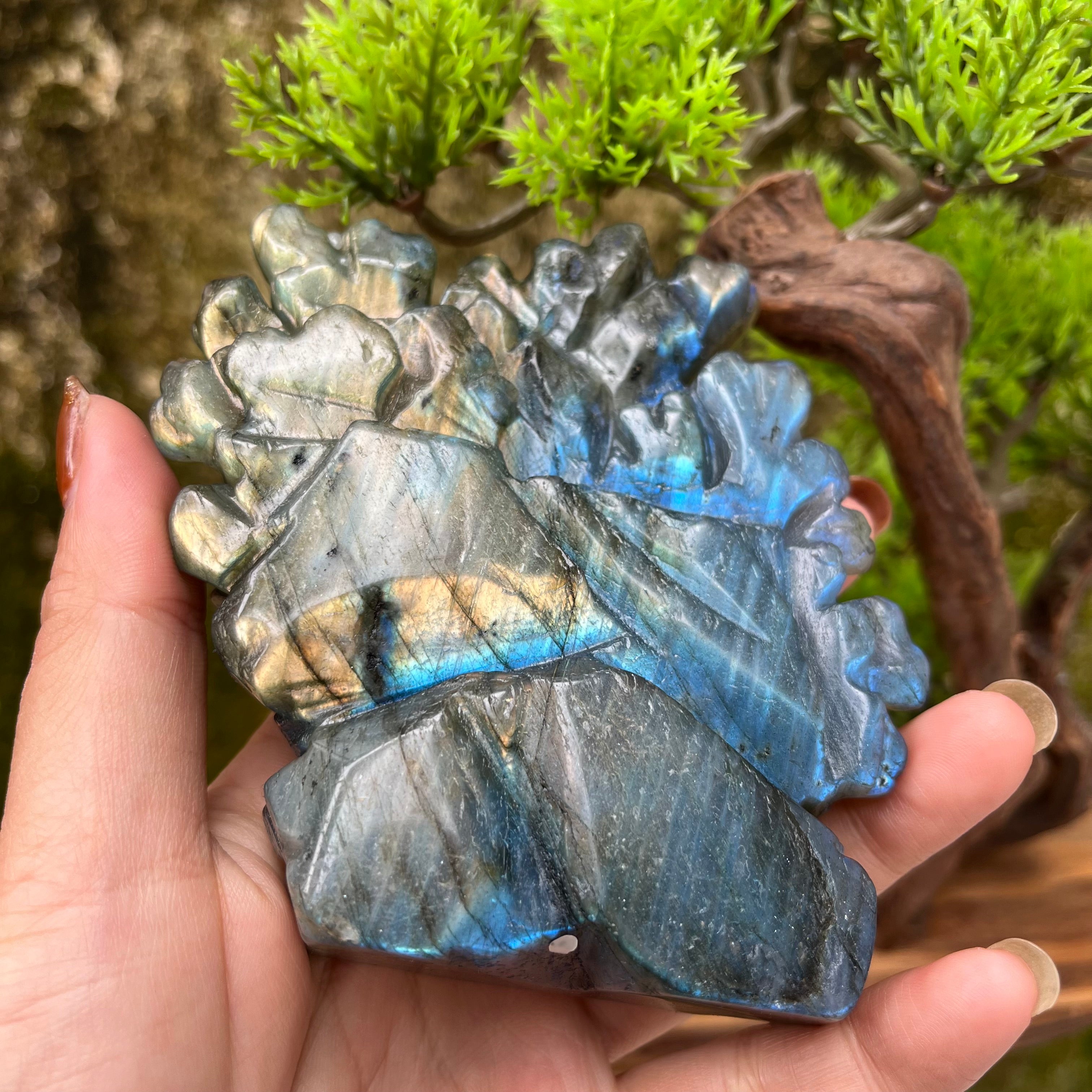 Natural Labradorite Strong Flash Coral Fish