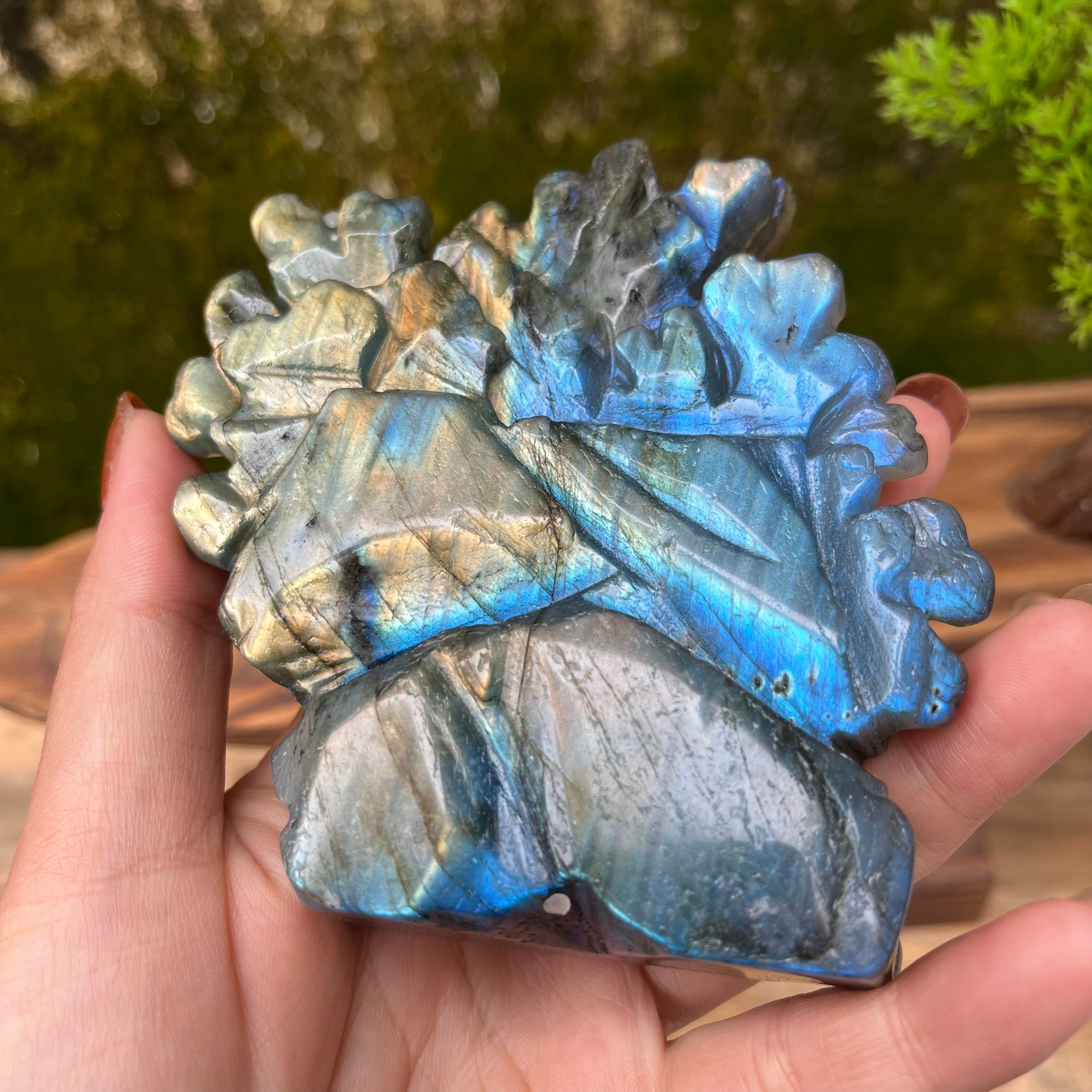 Natural Labradorite Strong Flash Coral Fish