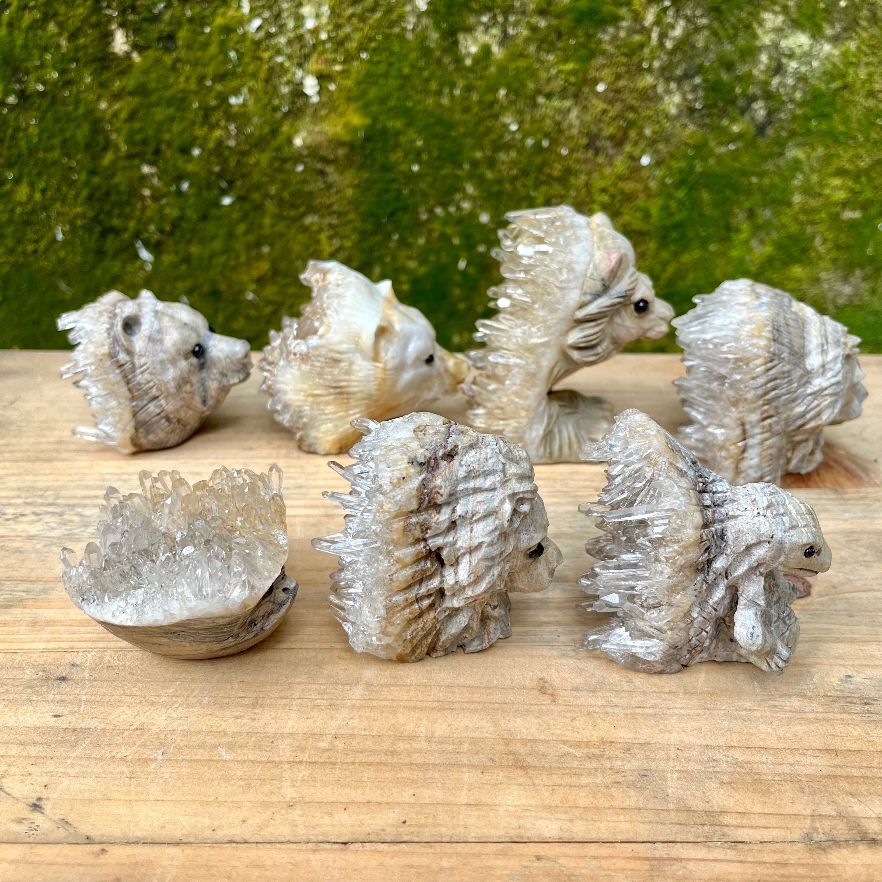 7PCS Clear Quartz Top Pet Rocks Animal Carvings