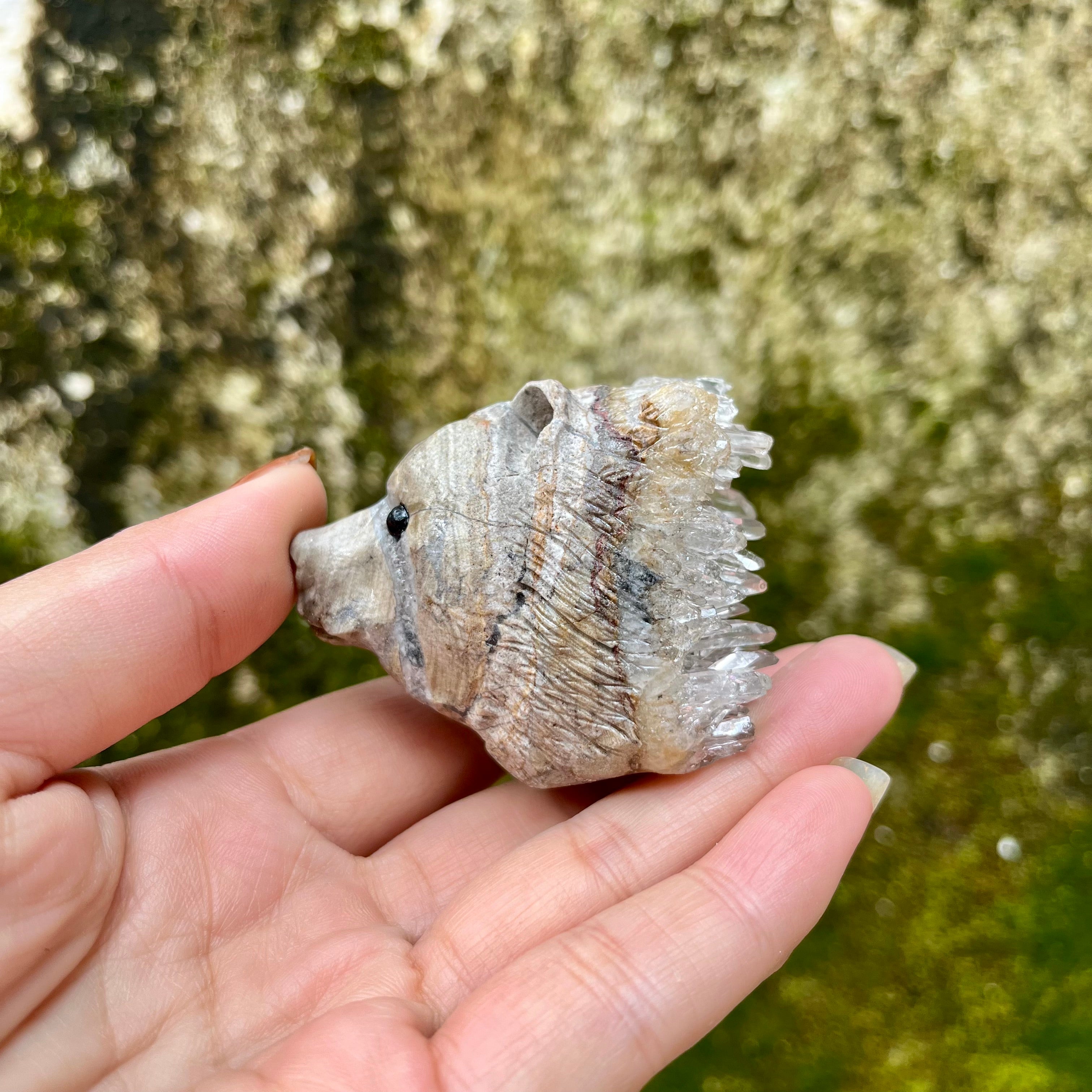 7PCS Clear Quartz Top Pet Rocks Animal Carvings