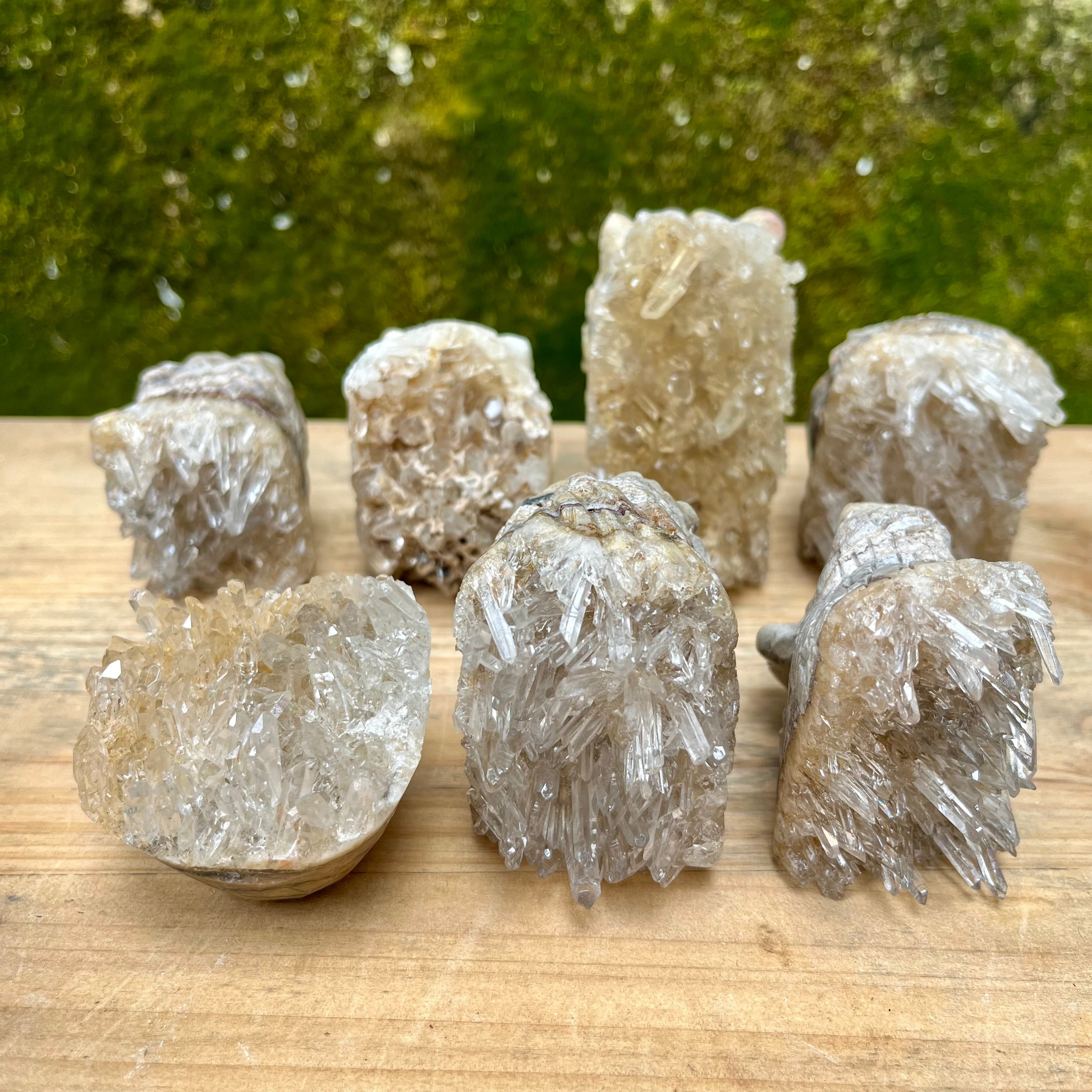7PCS Clear Quartz Top Pet Rocks Animal Carvings