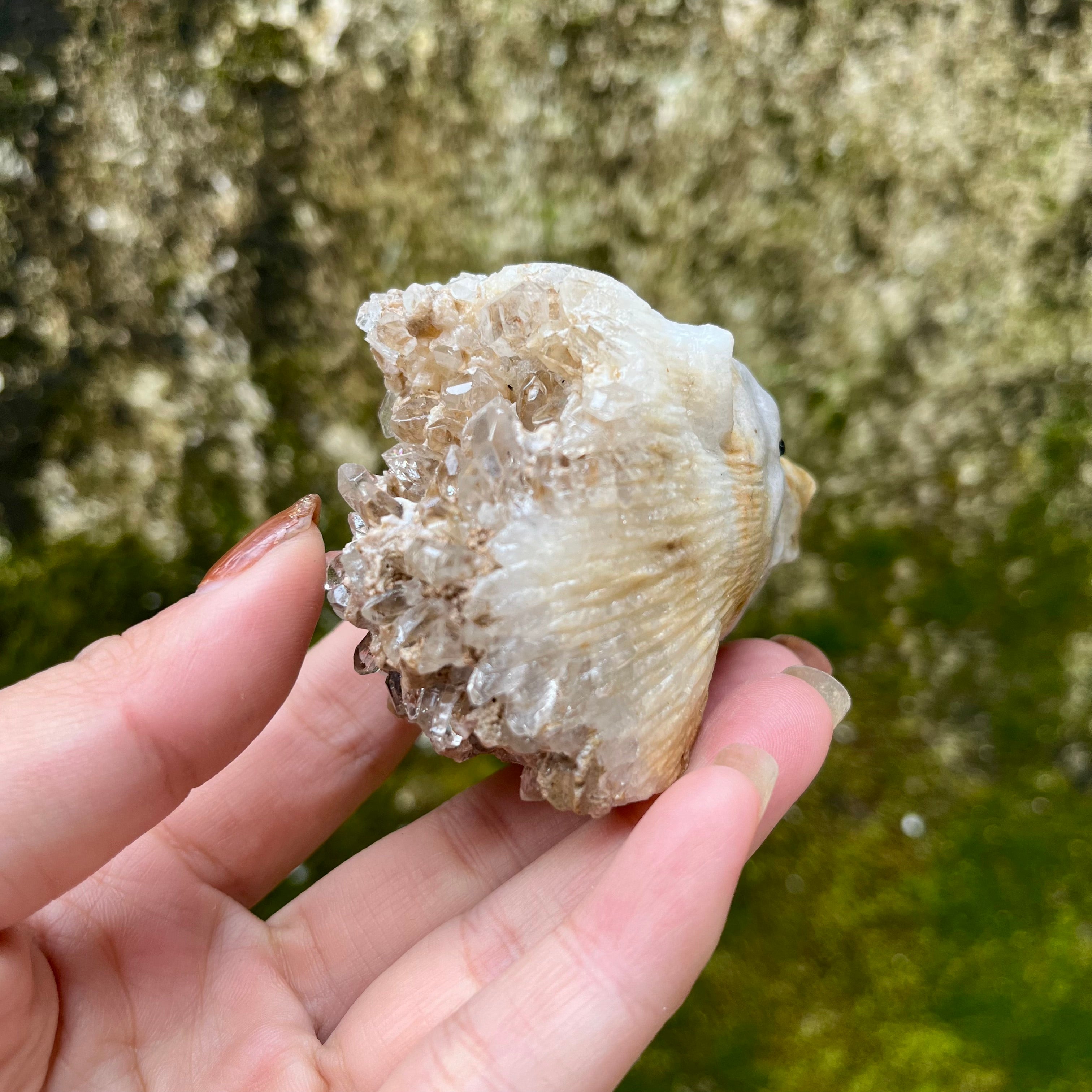 7PCS Clear Quartz Top Pet Rocks Animal Carvings