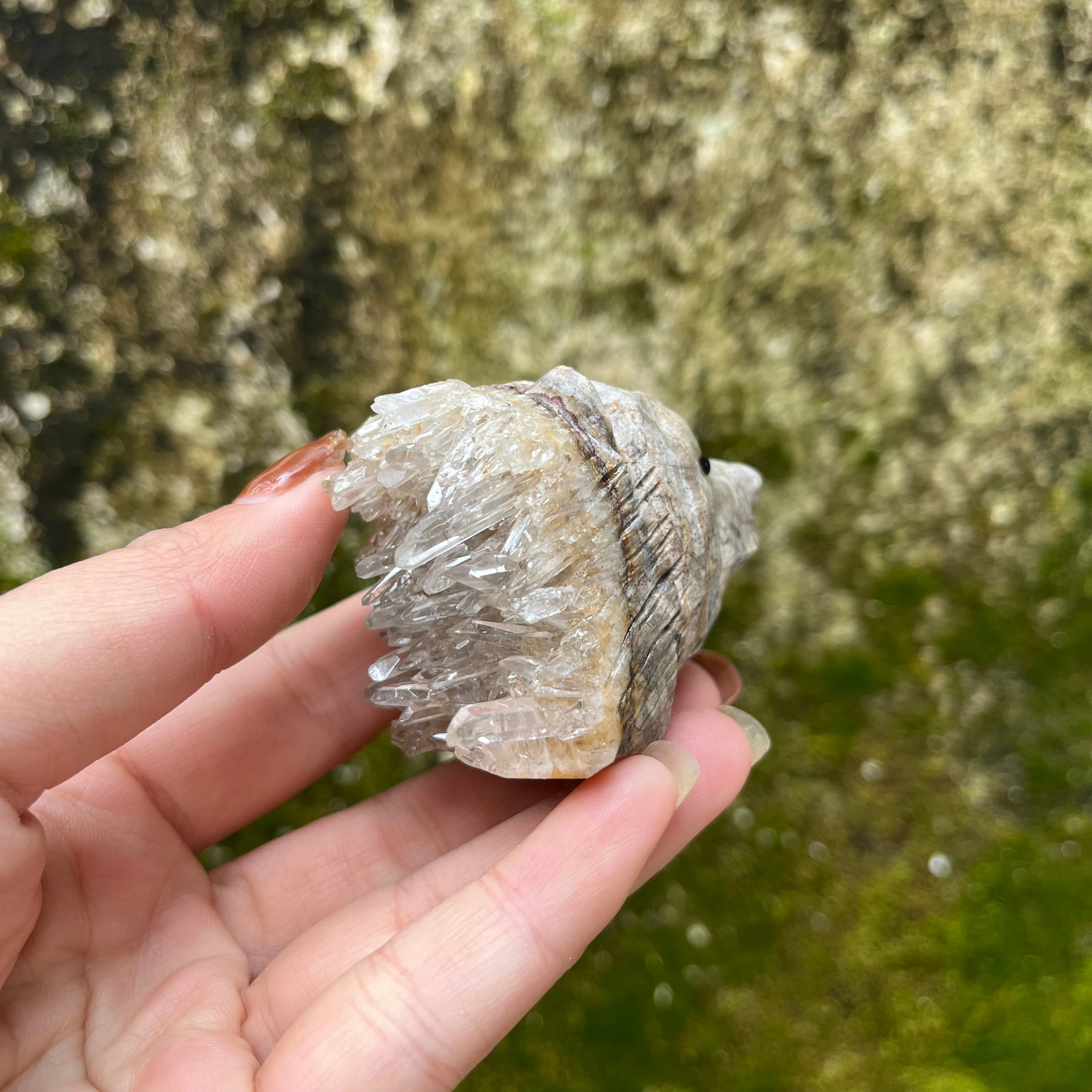 7PCS Clear Quartz Top Pet Rocks Animal Carvings