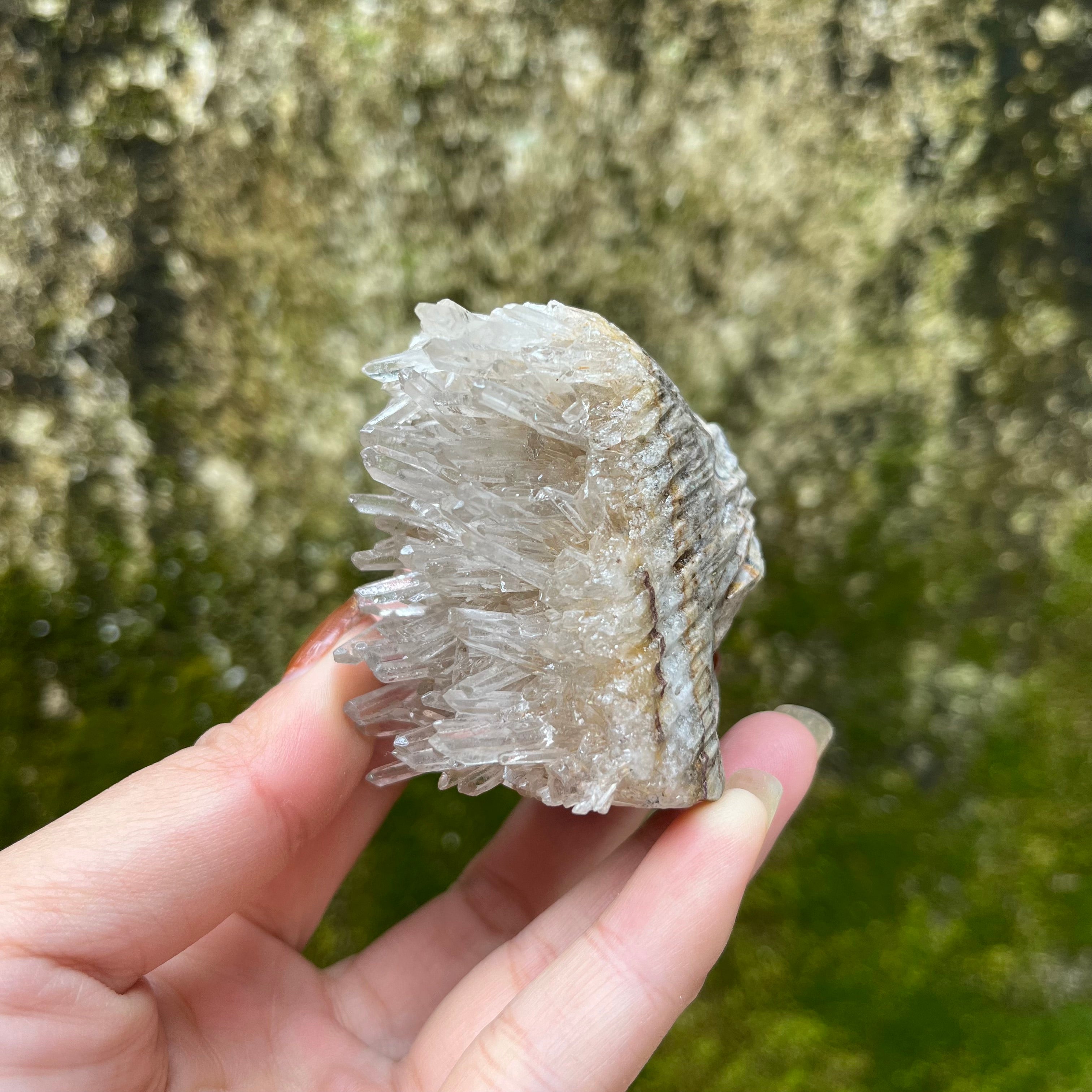 7PCS Clear Quartz Top Pet Rocks Animal Carvings