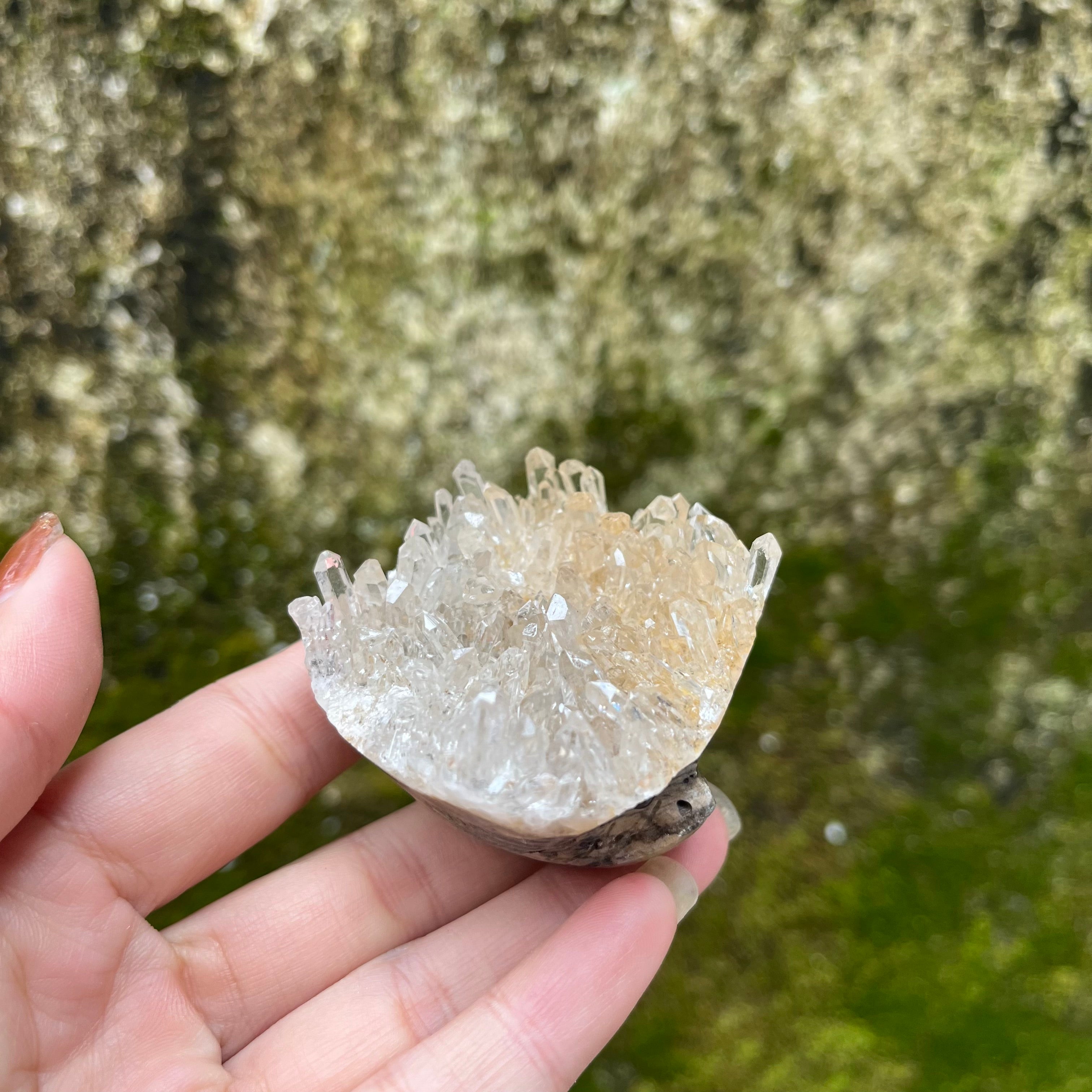 7PCS Clear Quartz Top Pet Rocks Animal Carvings