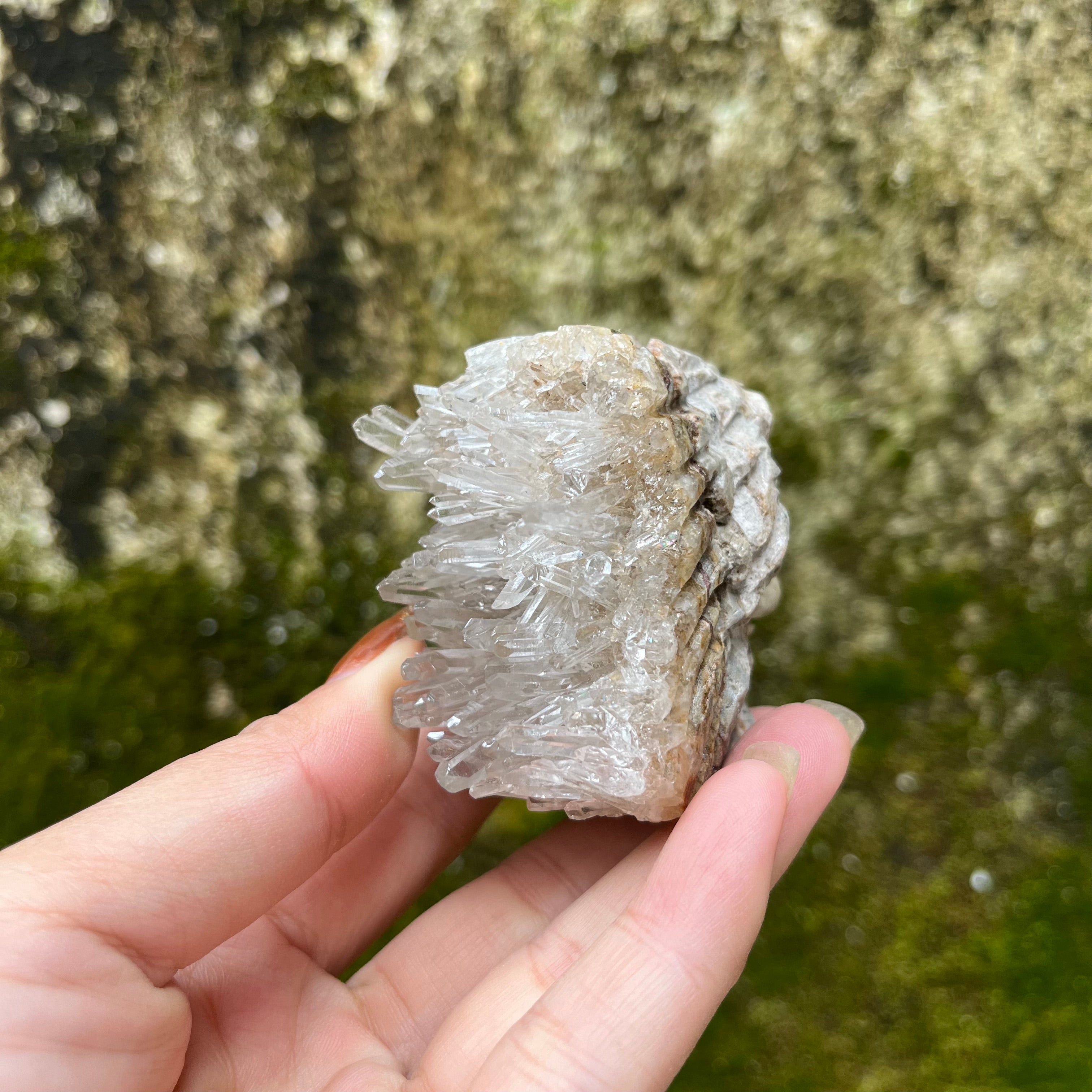 7PCS Clear Quartz Top Pet Rocks Animal Carvings