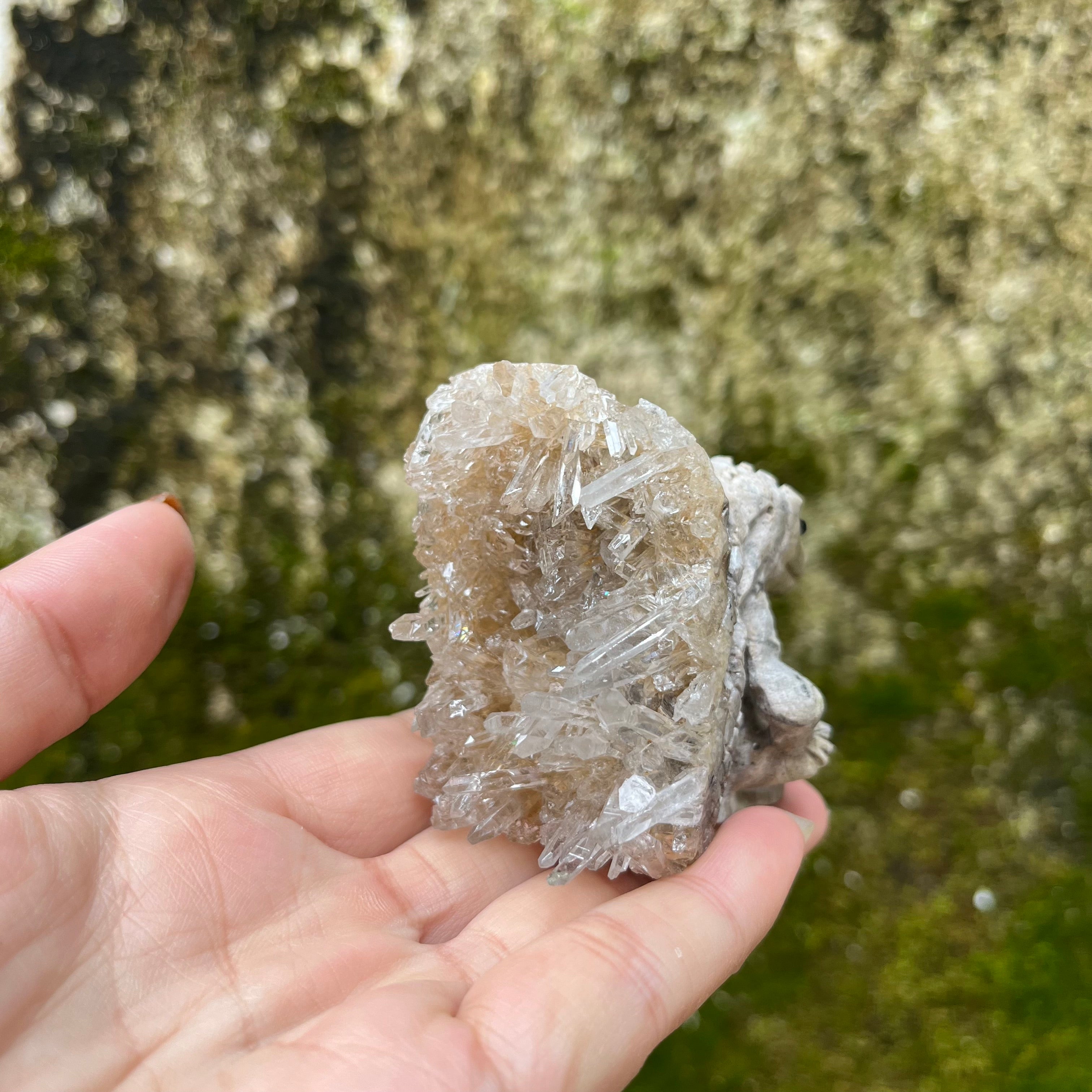 7PCS Clear Quartz Top Pet Rocks Animal Carvings