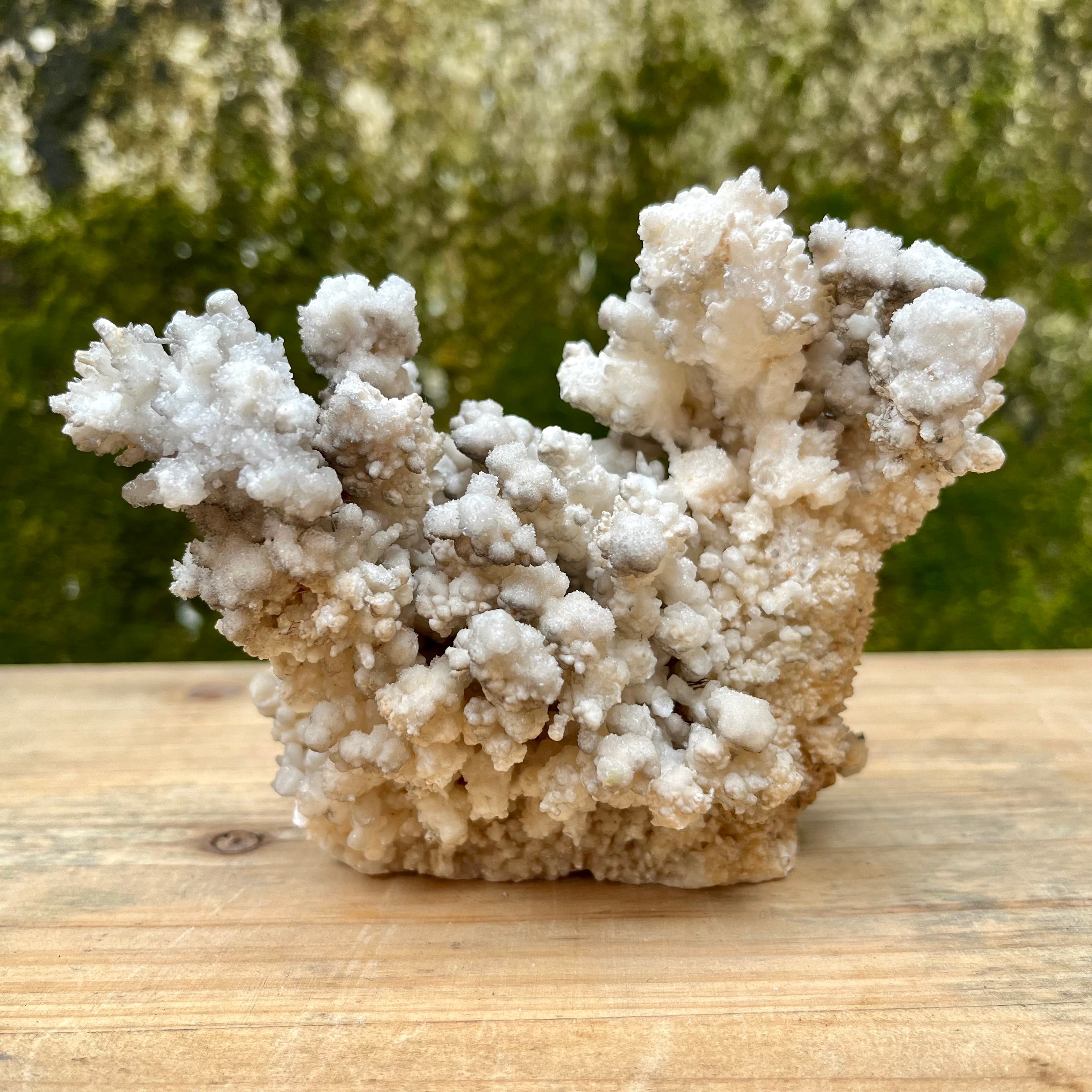 Stalactite Raw Cut Mushroom House Carvings