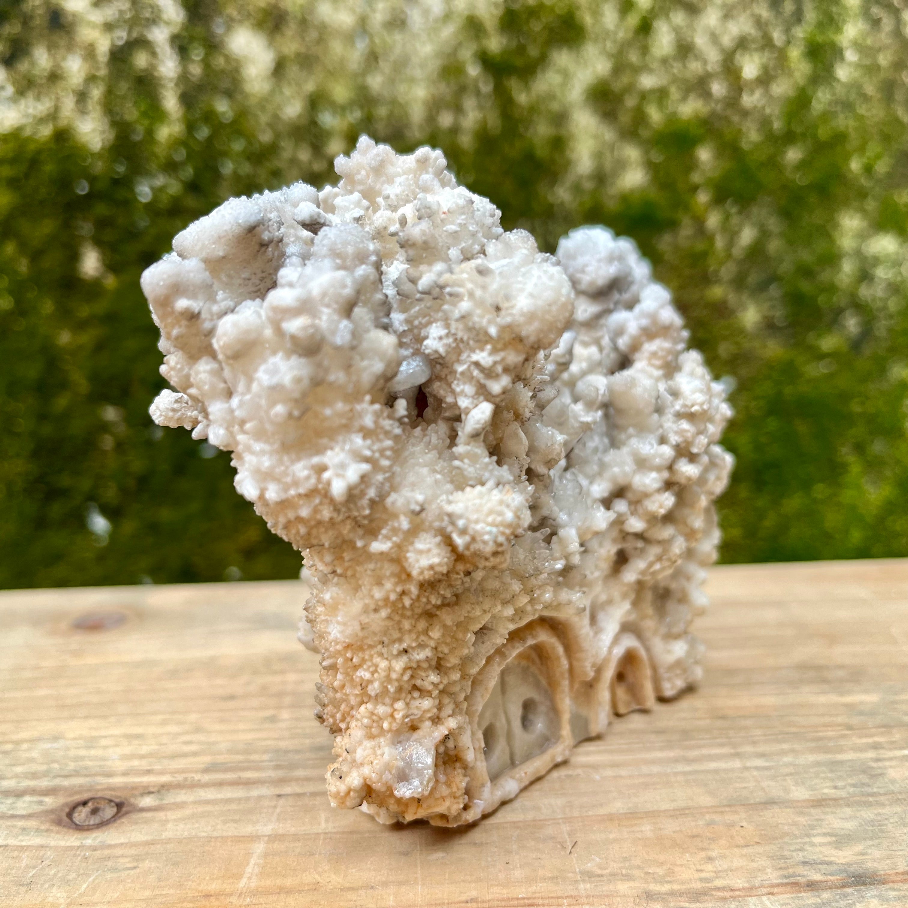 Stalactite Raw Cut Mushroom House Carvings