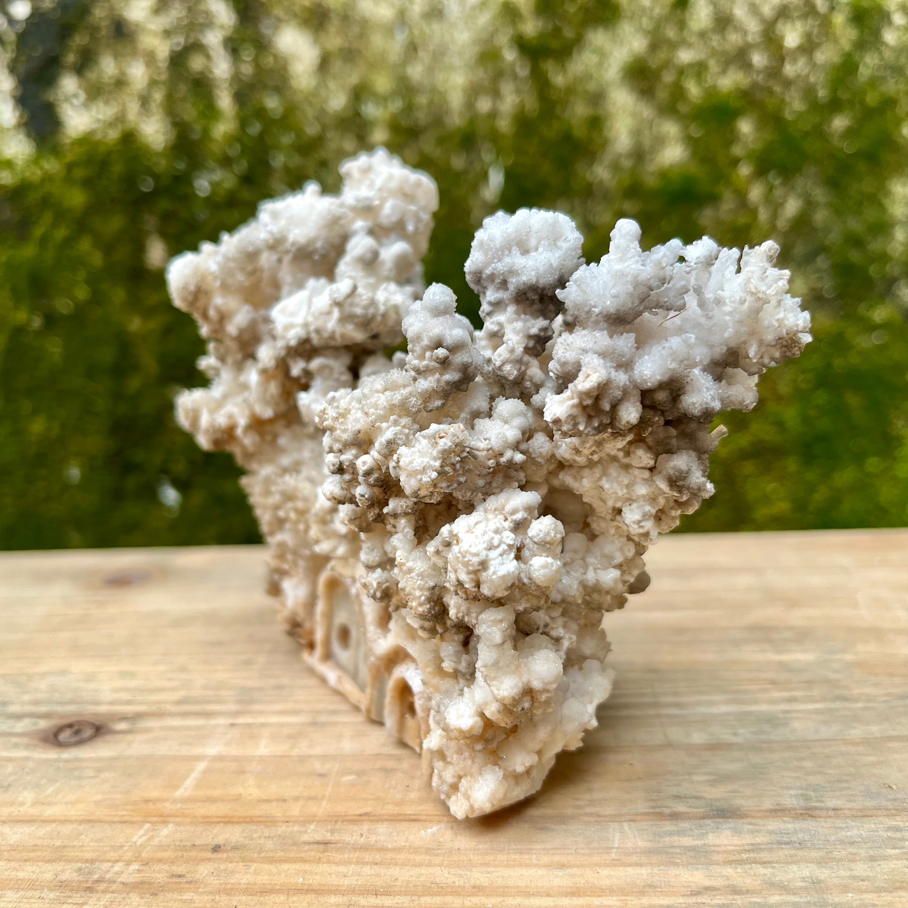 Stalactite Raw Cut Mushroom House Carvings