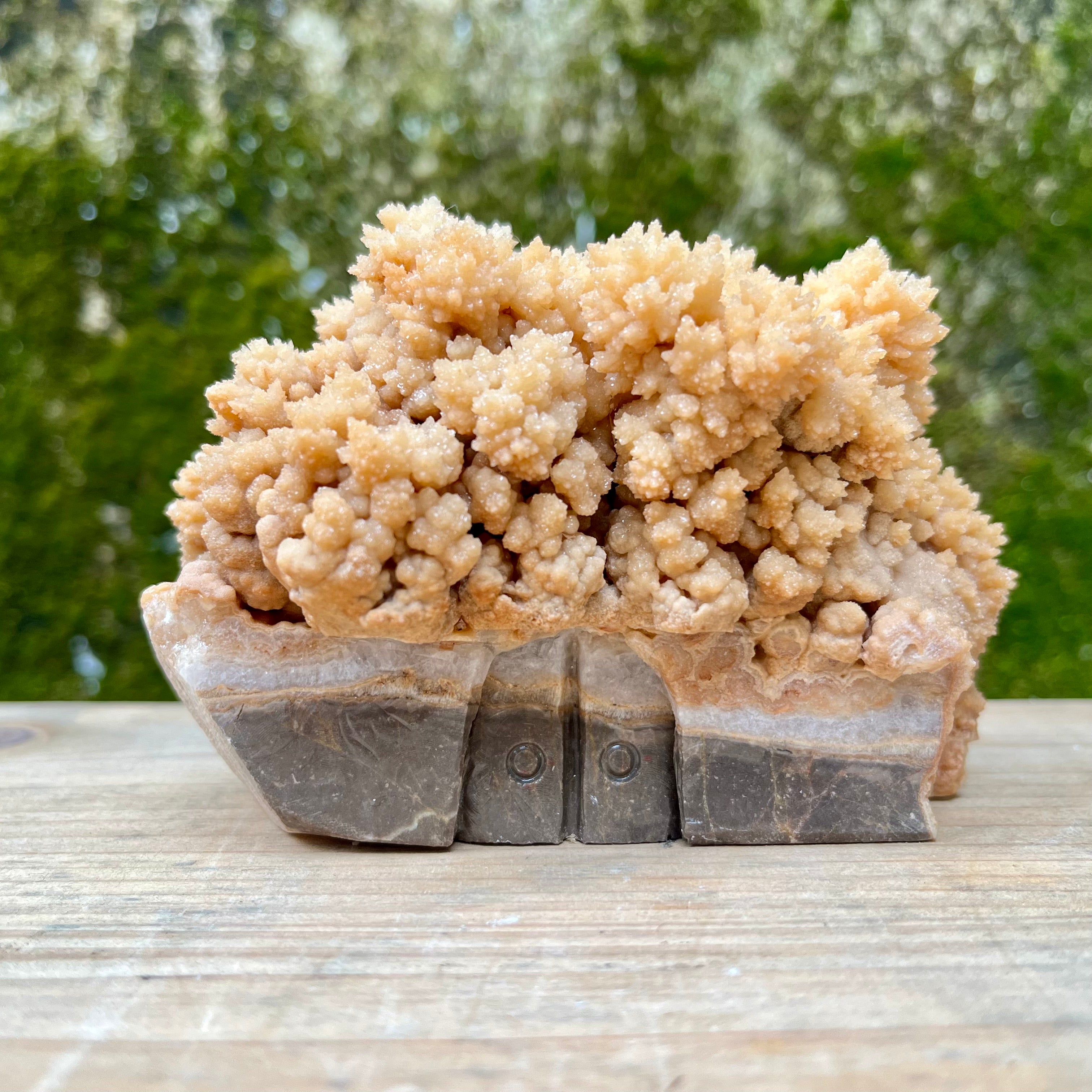 Stalactite Raw Cut Mushroom House Carvings