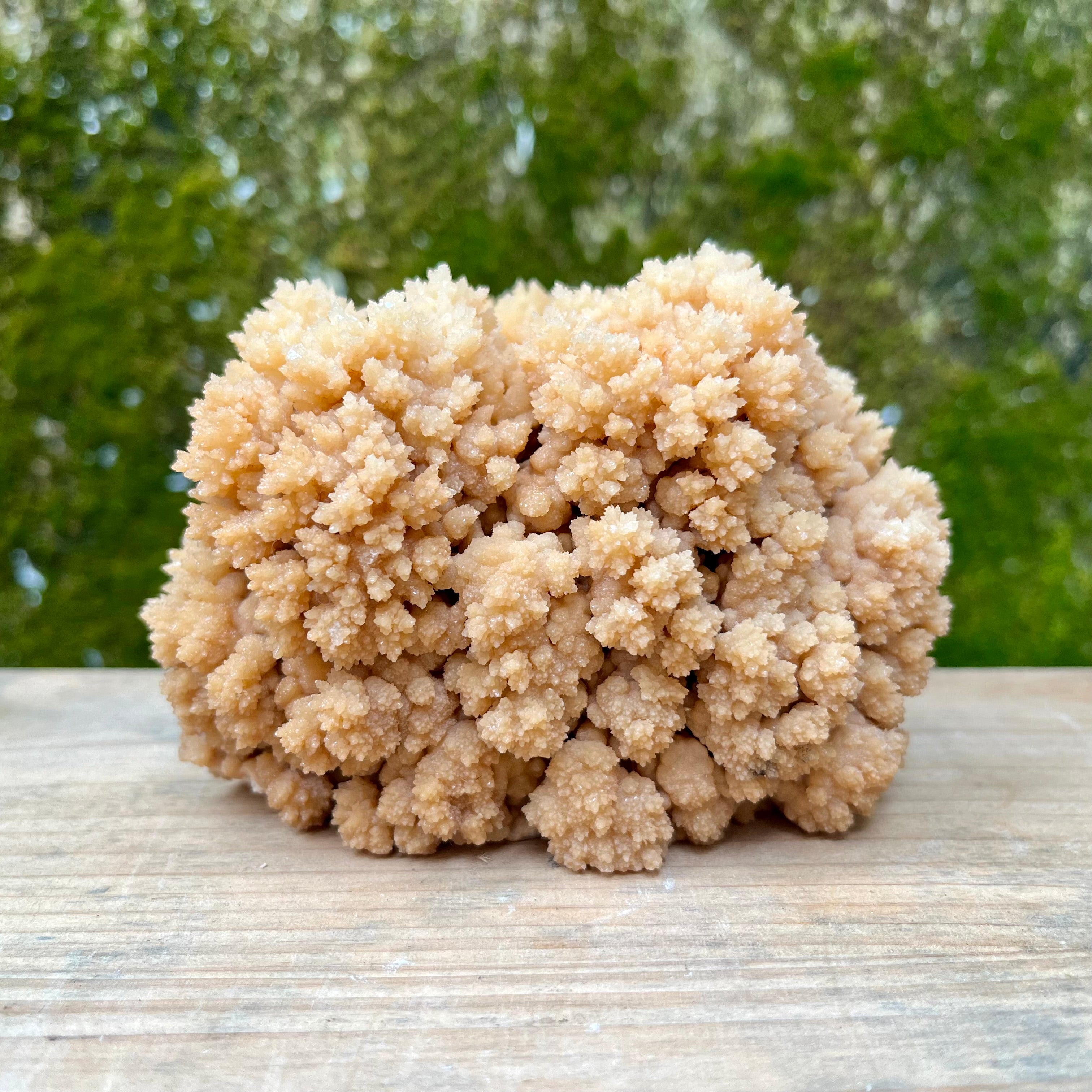 Stalactite Raw Cut Mushroom House Carvings