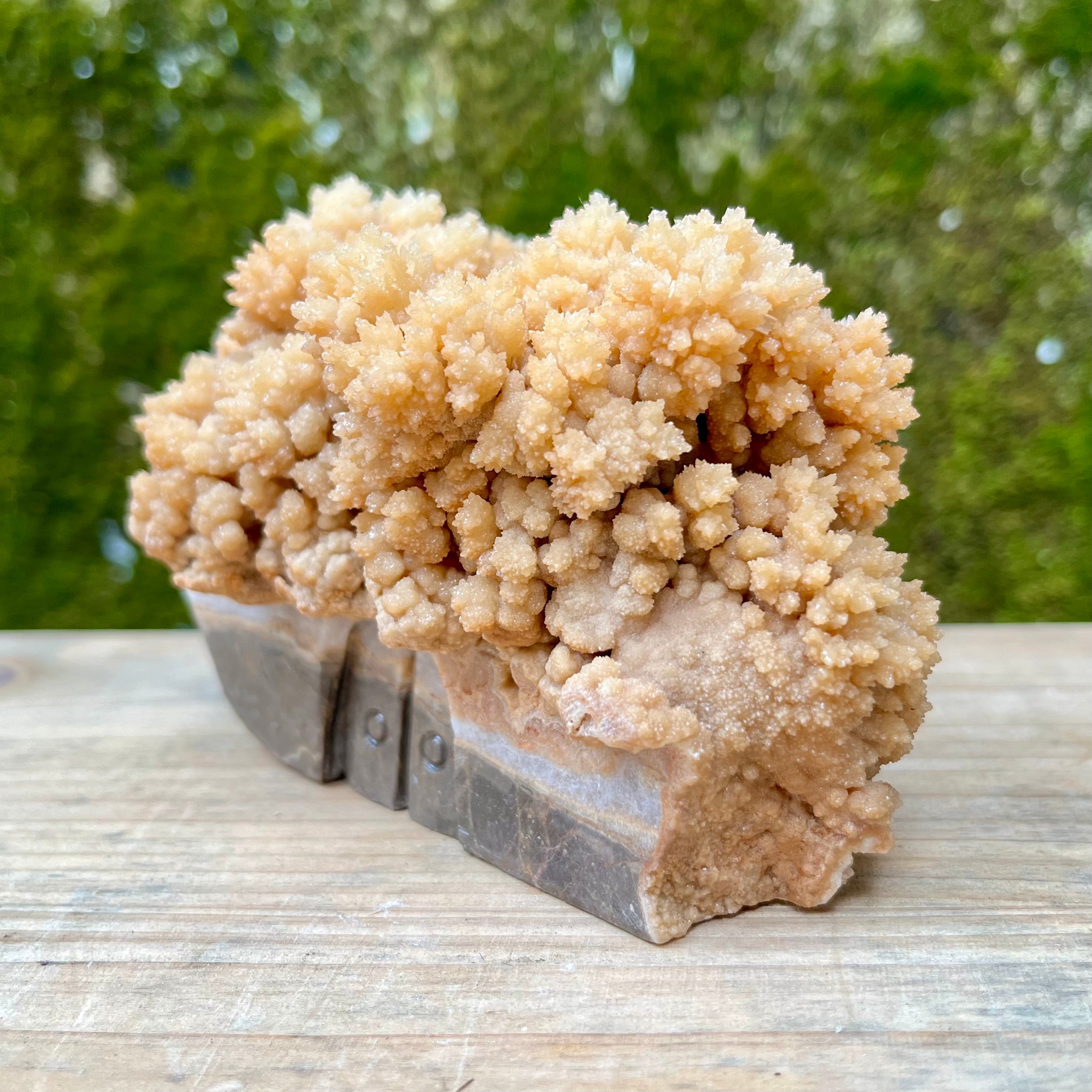 Stalactite Raw Cut Mushroom House Carvings