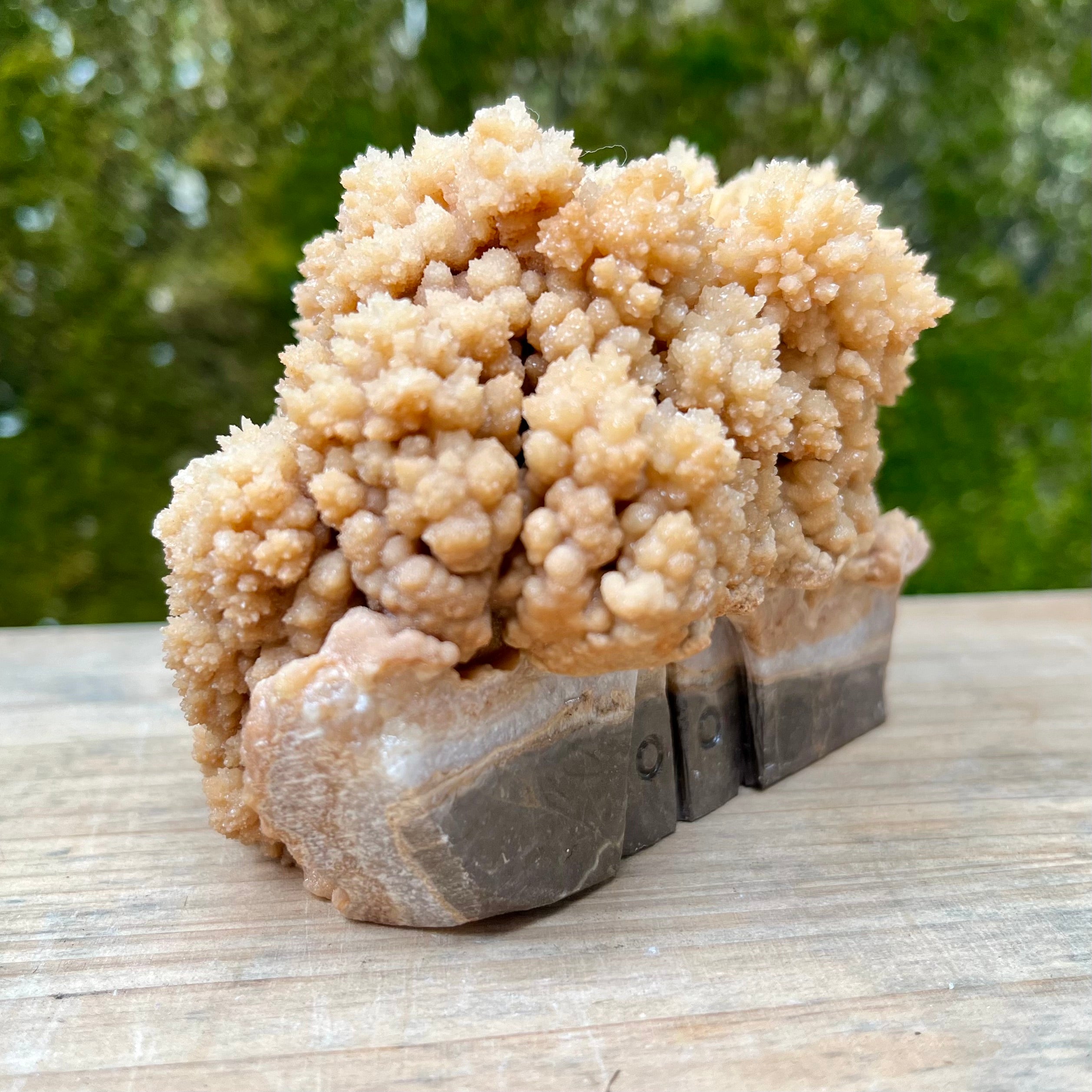 Stalactite Raw Cut Mushroom House Carvings